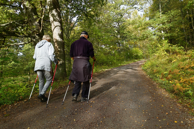 Två personer går med stavar på en skogsstig