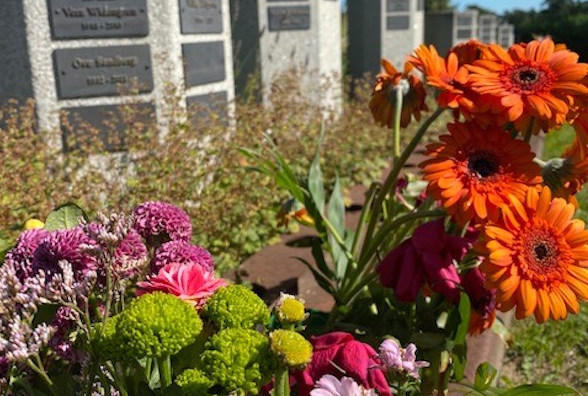 Orange och lila blommor, i bakgrunden anas stenar med namnskyltar.