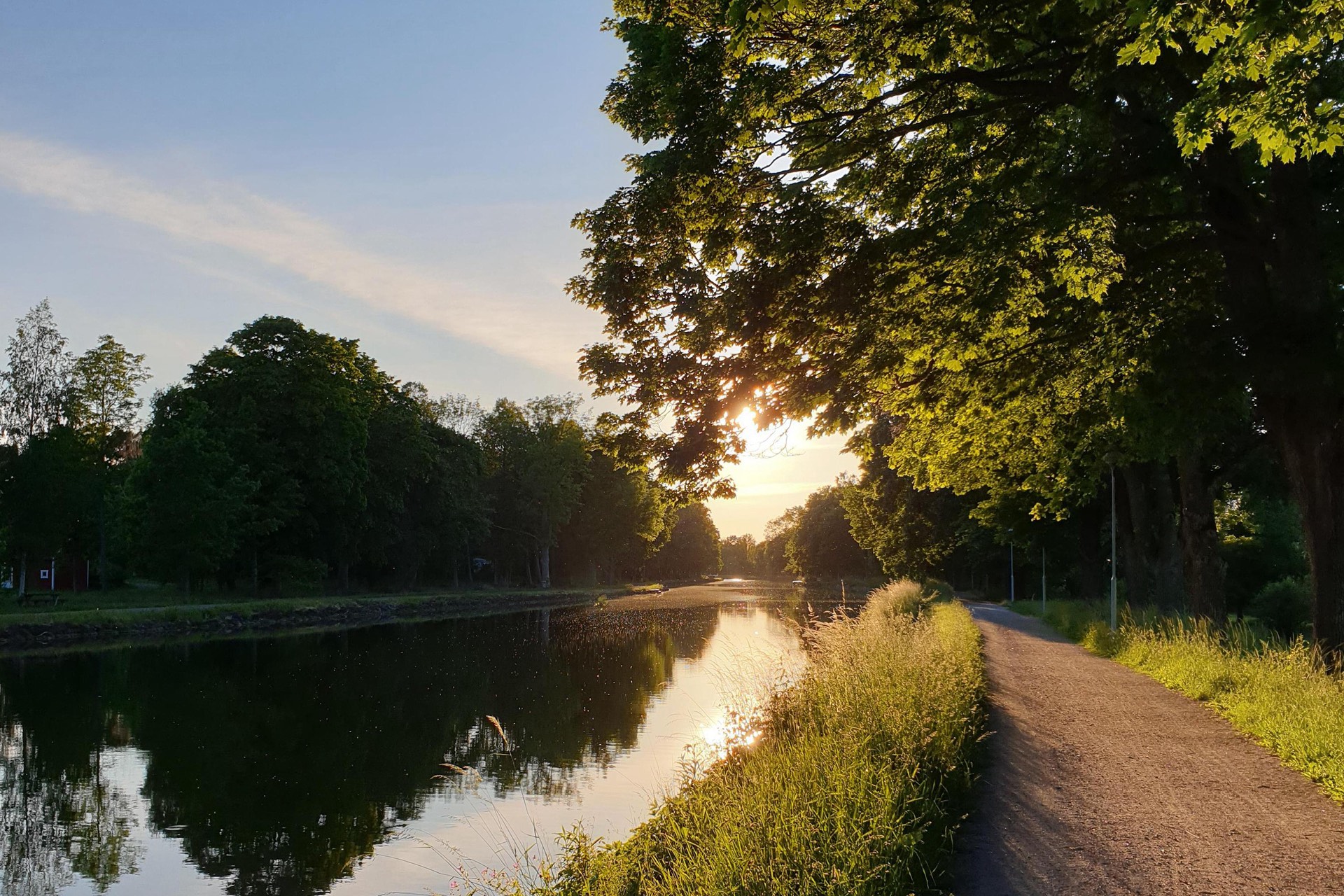 Sommarkväll, grönska intill en vattenfylld kanal.