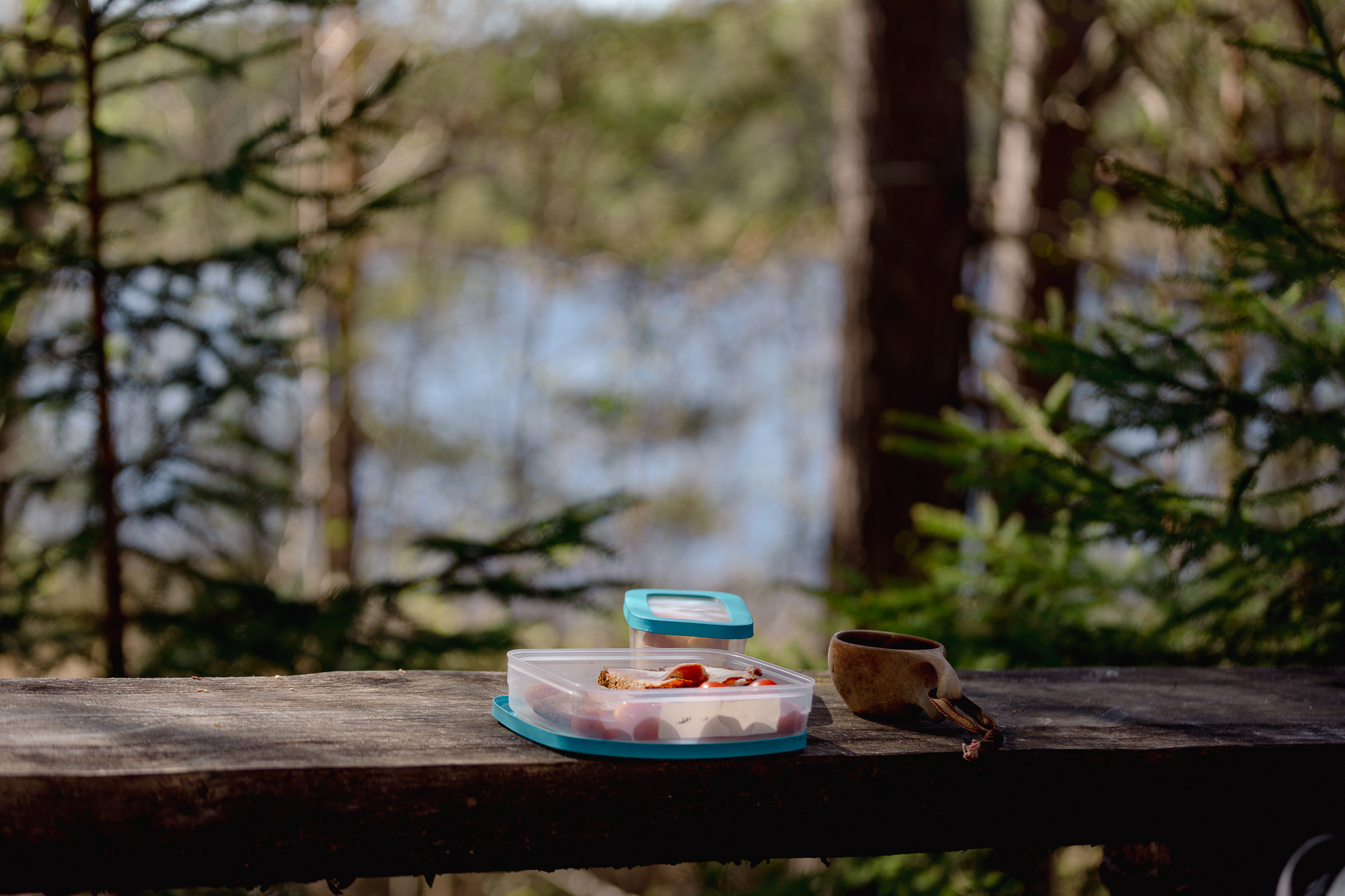 En skogsglänta med fint ljus och en matlåda på en bänk