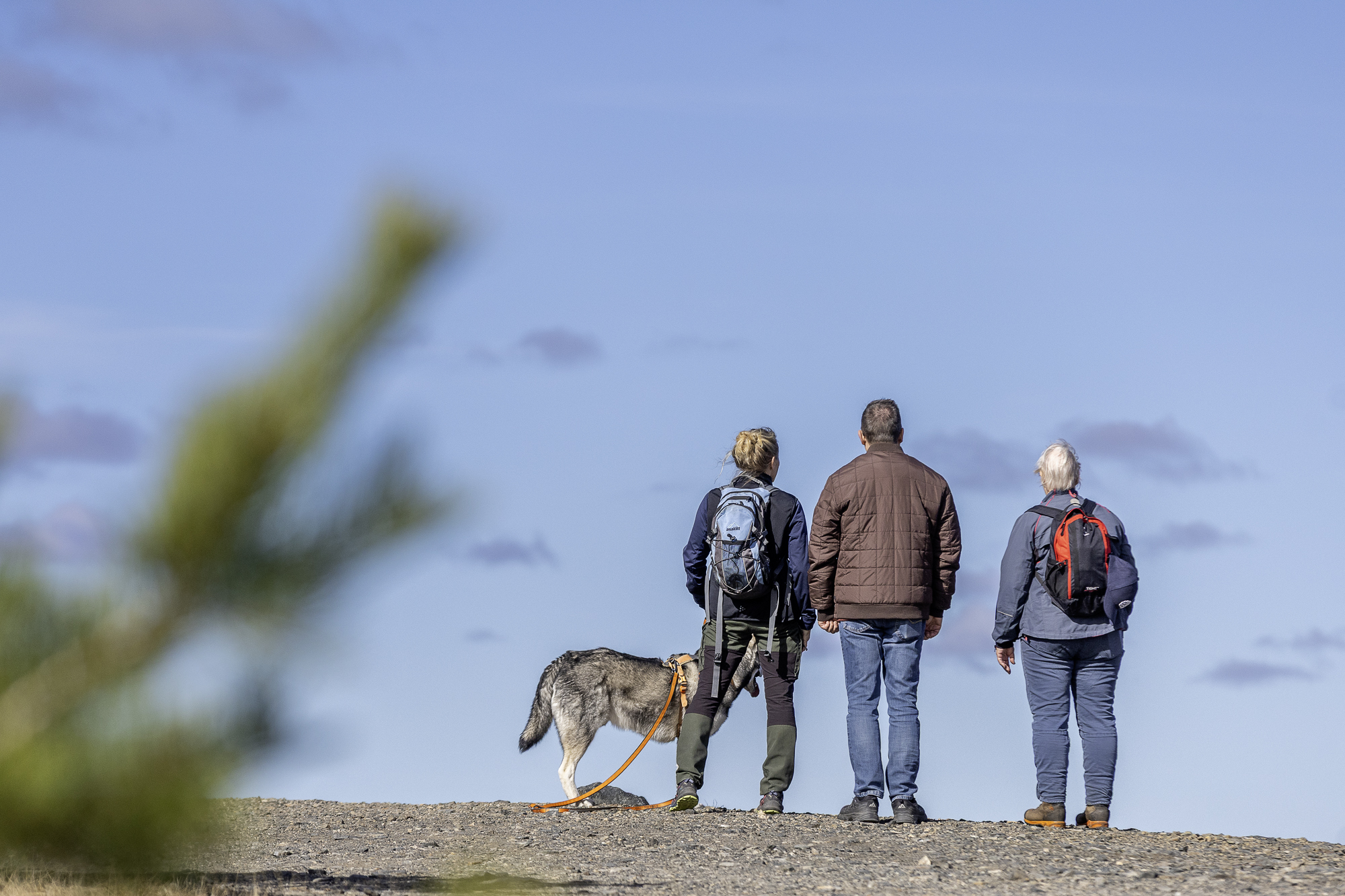 Tre personer och en hund står och på en hög höjd och har bara himmelen som bakgrund.