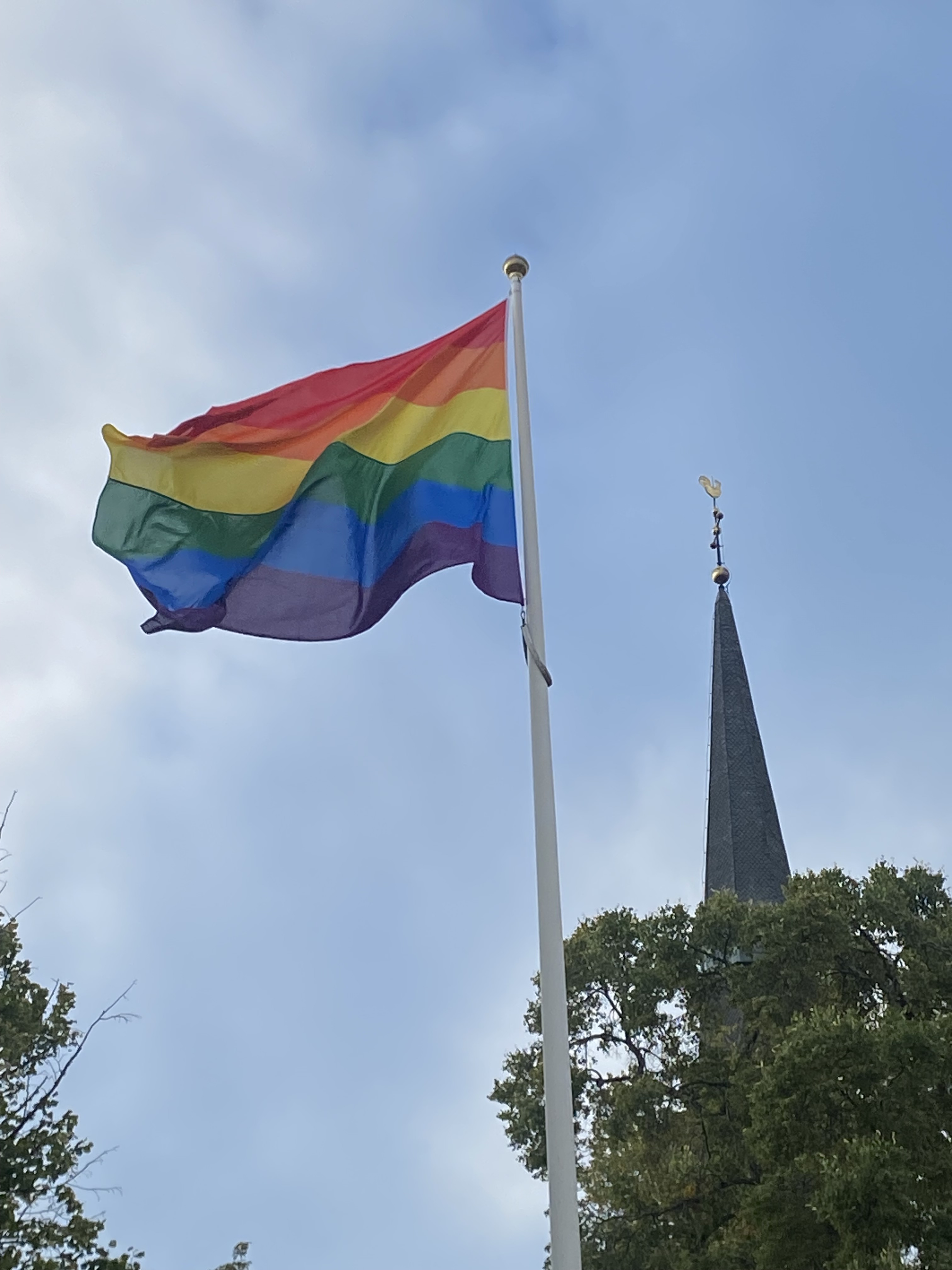 Pride flagga