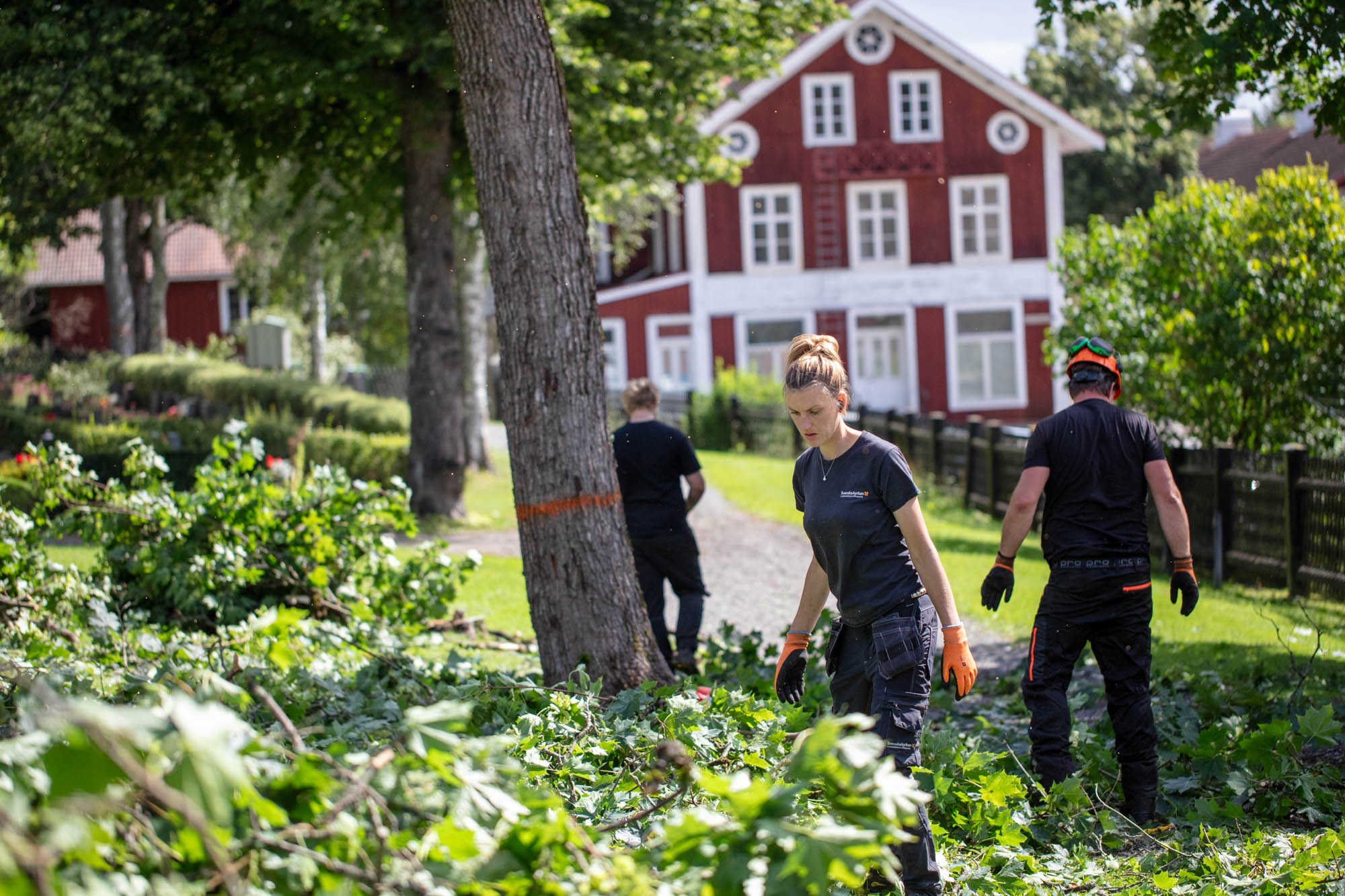 Personal städar upp bland nedsågade grenar på kyrkogården