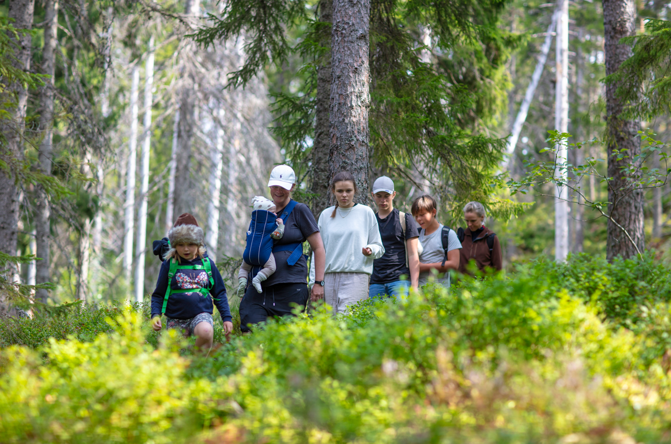 Ett gäng personer i blandade åldrar vandrar i skogen.