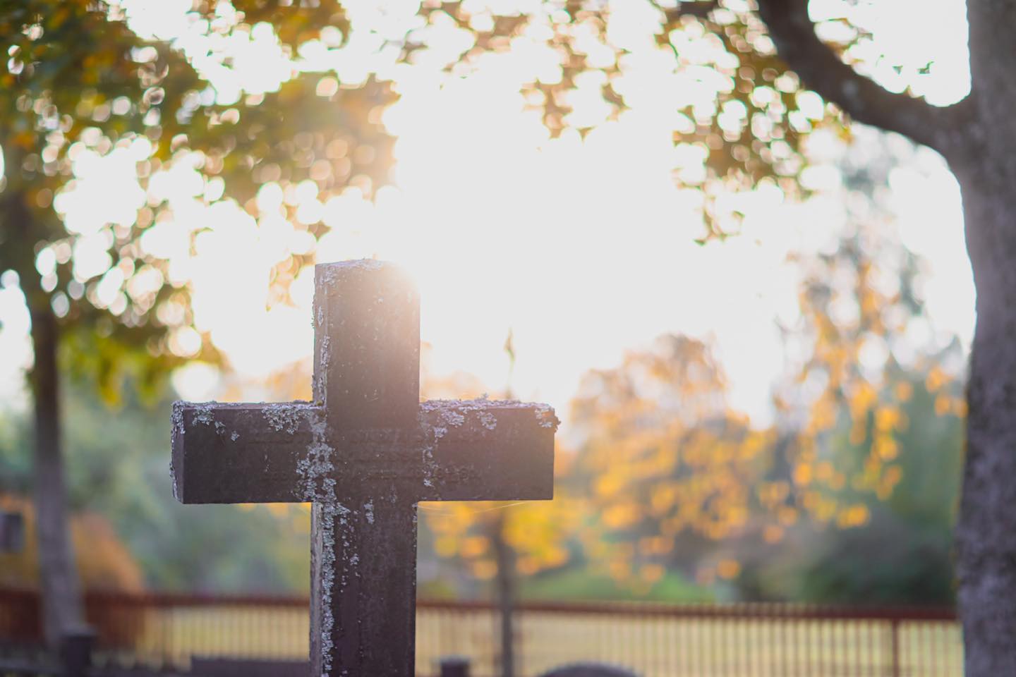 Kors på kyrkogård, solen lyser mot dig
