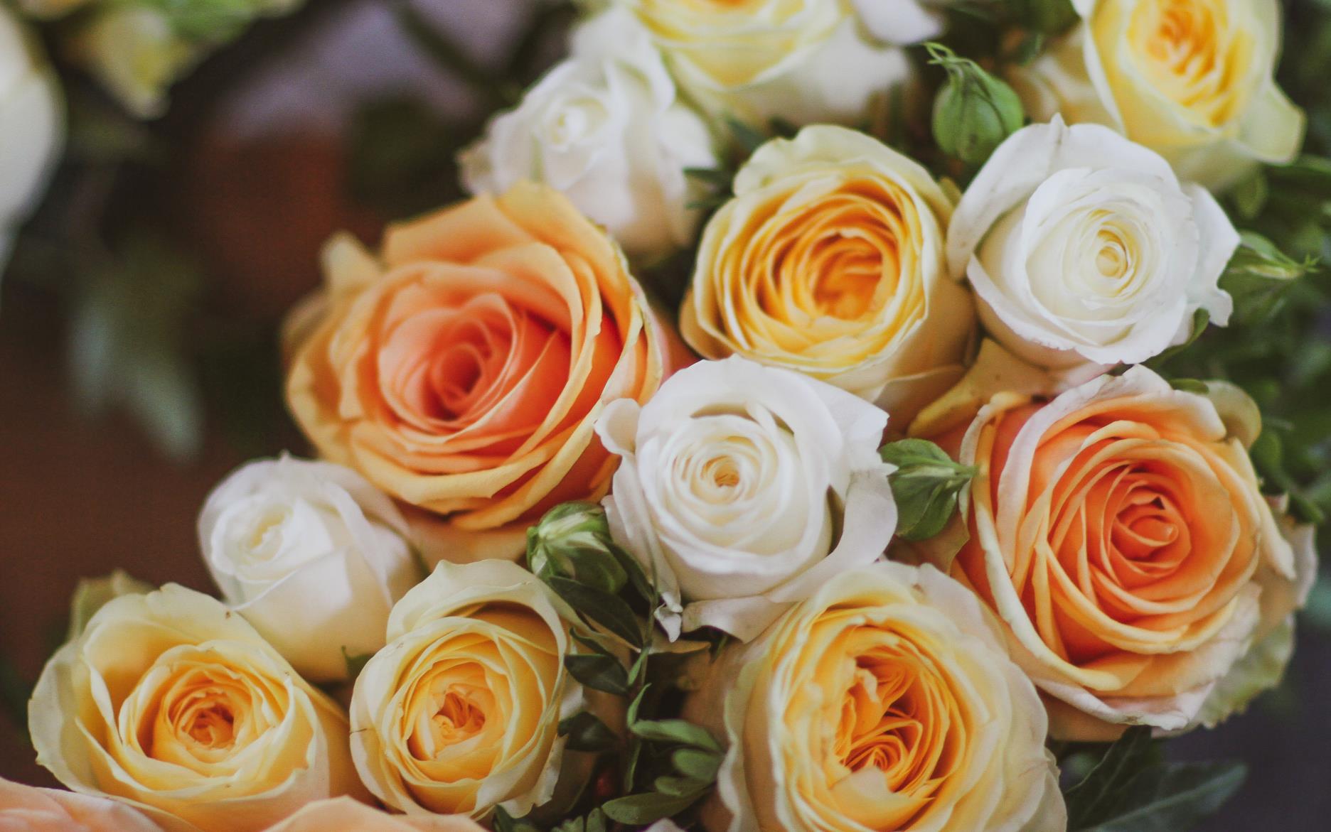 Blomsterarrangemang med rosor i vitt, persika och gul. 