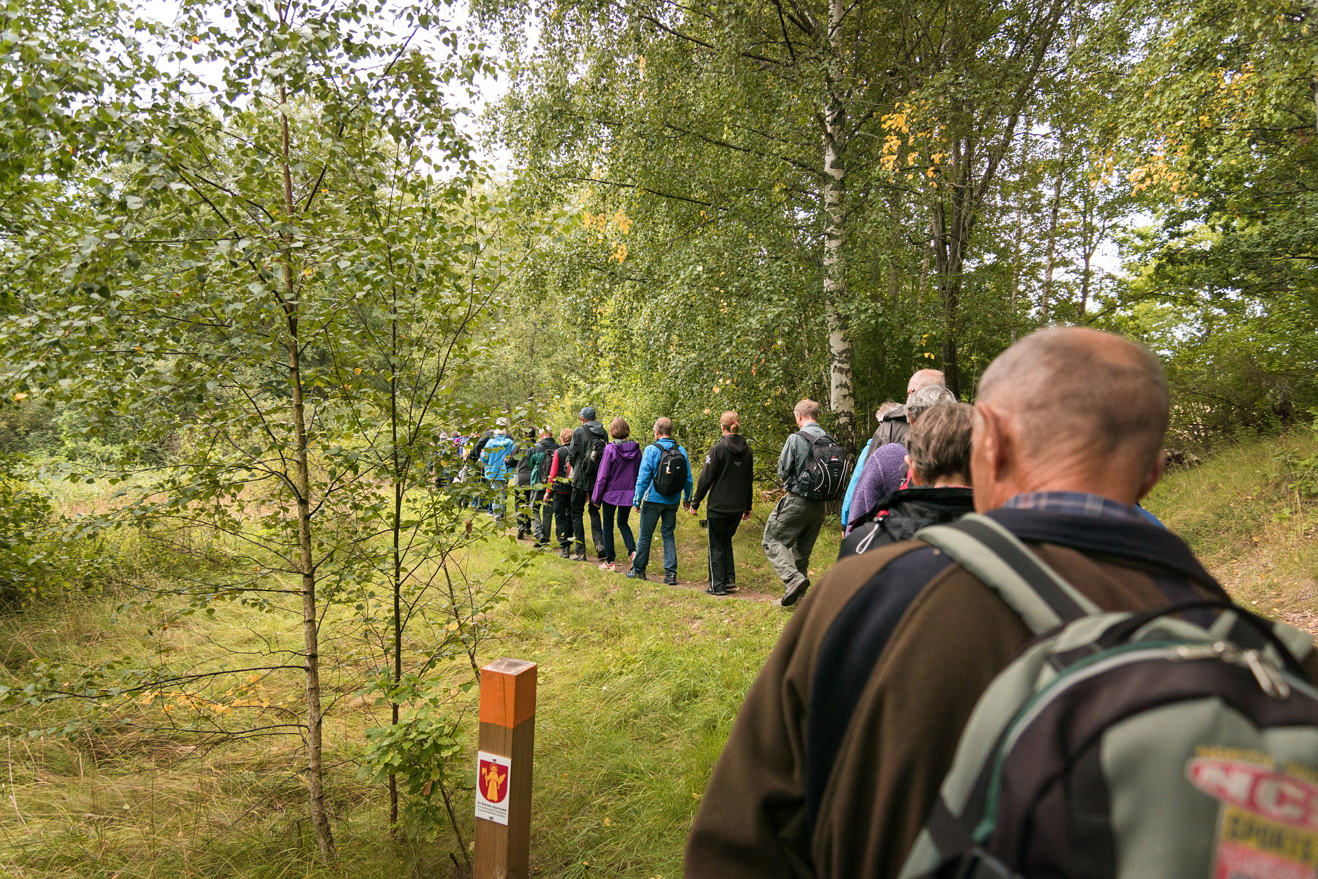 pilgrimsvandrare på en skogsväg