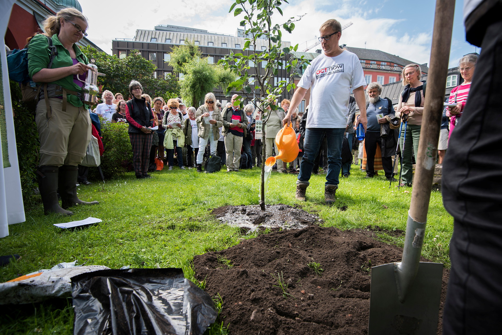 Trädplantering med människor i en grupp