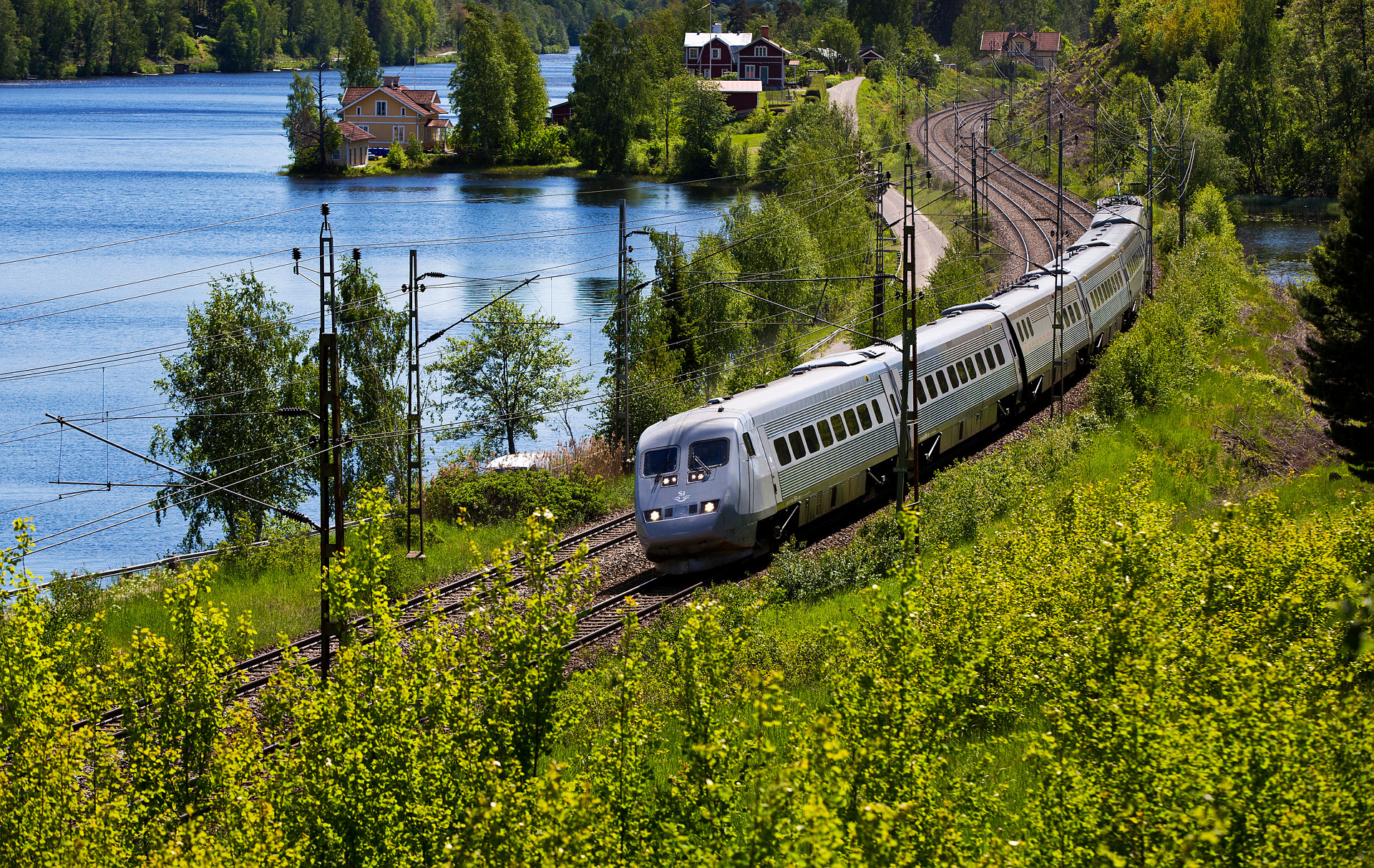 tåg i natur