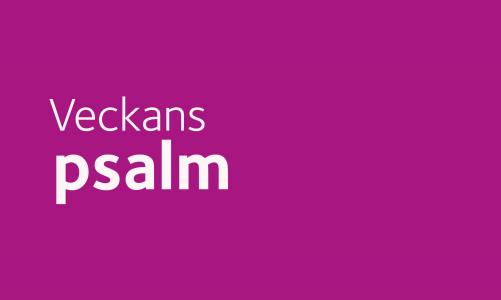Välkommen att följa med när vi dyker ner i den svenska psalmskatten. Johan Grahn och Sara Lind tar med er på den här resan. Följ med!