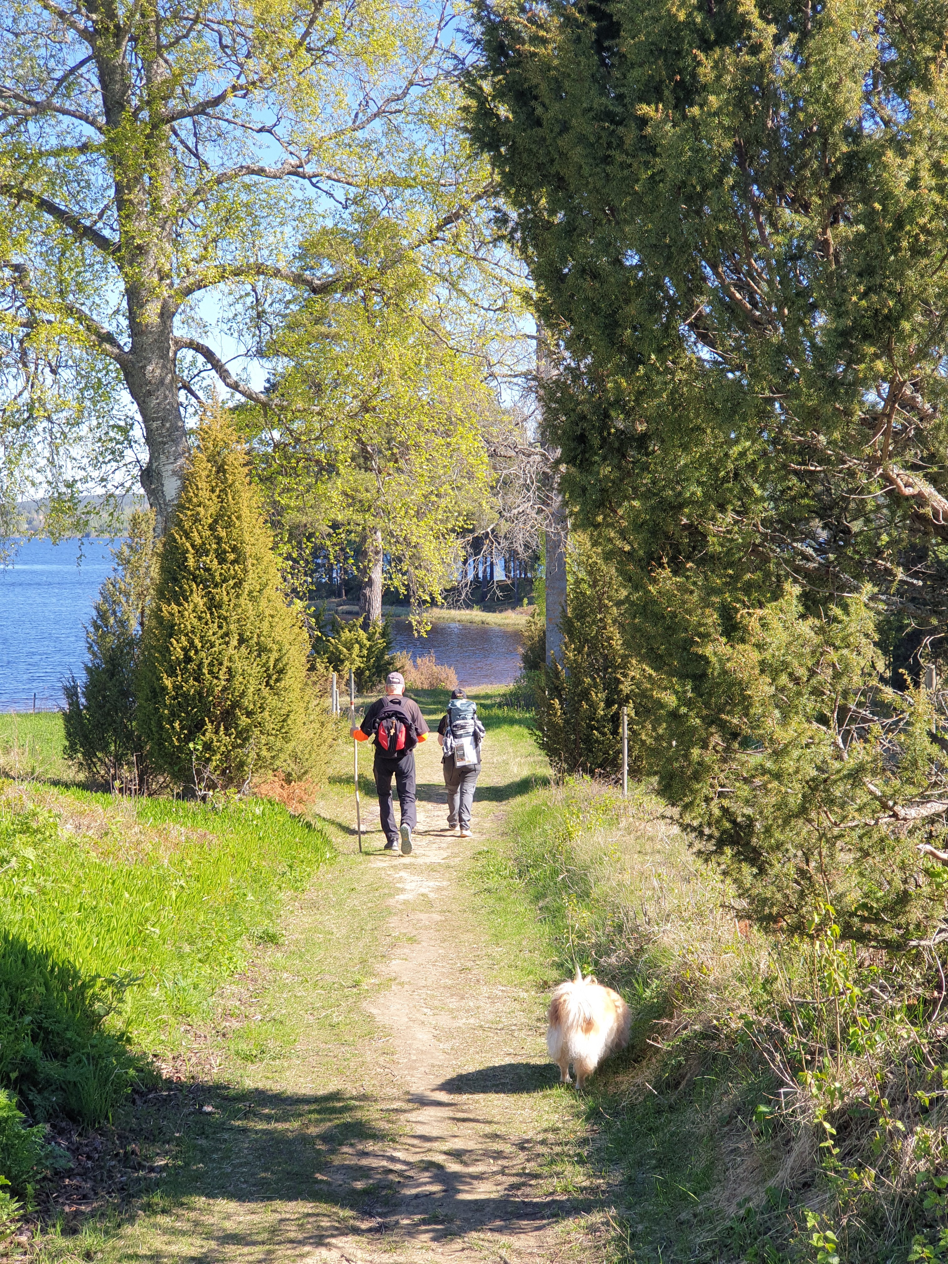 Vandring i Undersvik