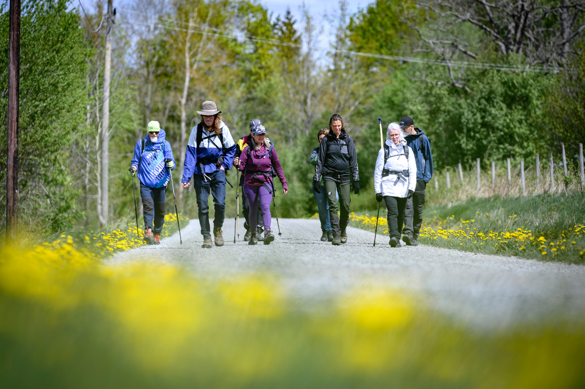 Personer som pilgrimsvandrar. 