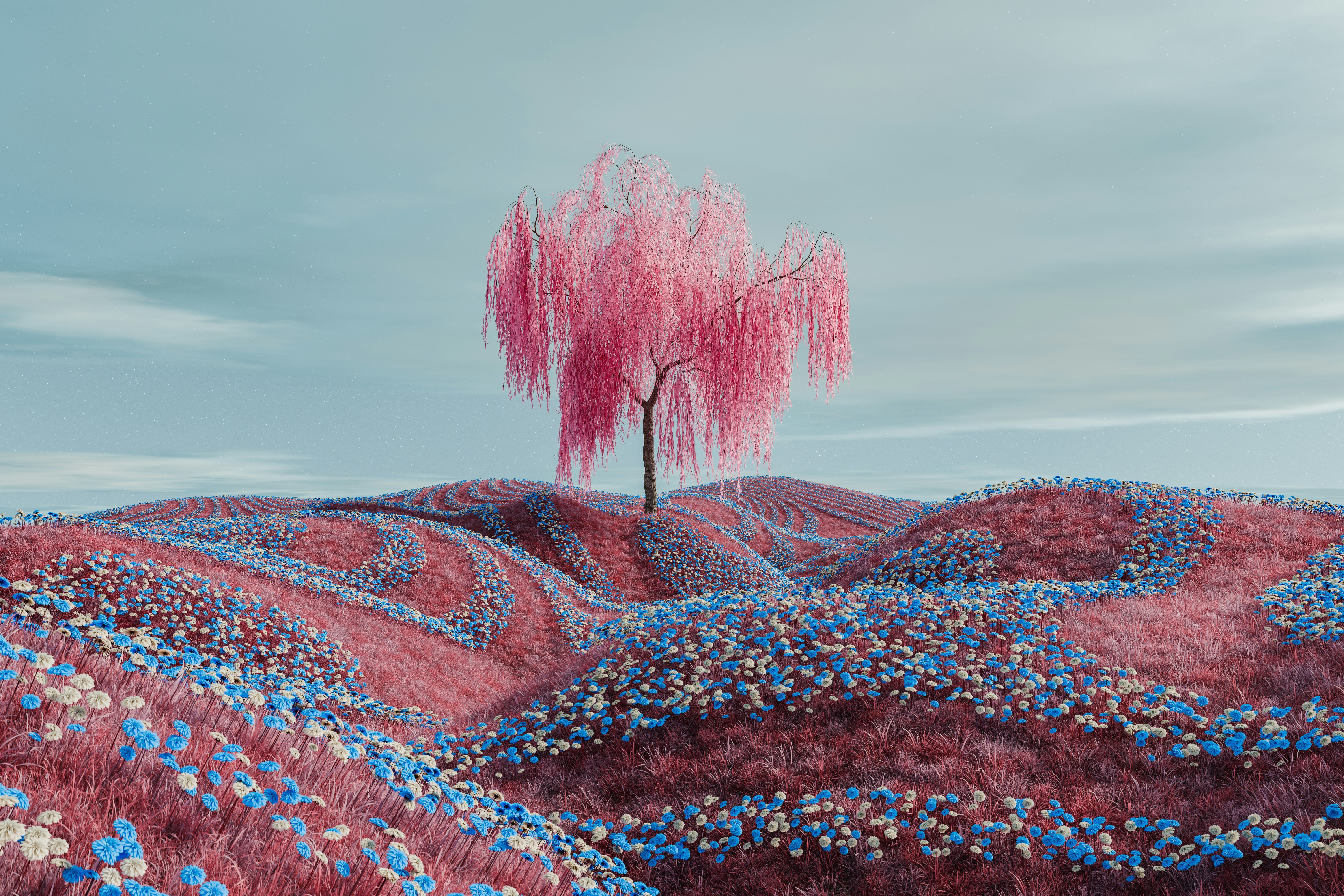 Ett rosa träd på en rosa äng med blå blommor.
