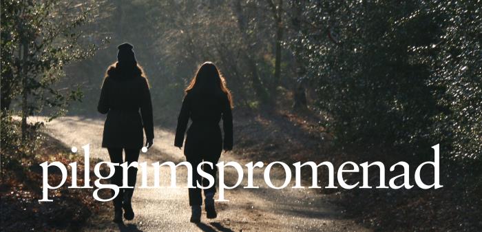 Bid på några som går och texten pilgrimsvandring