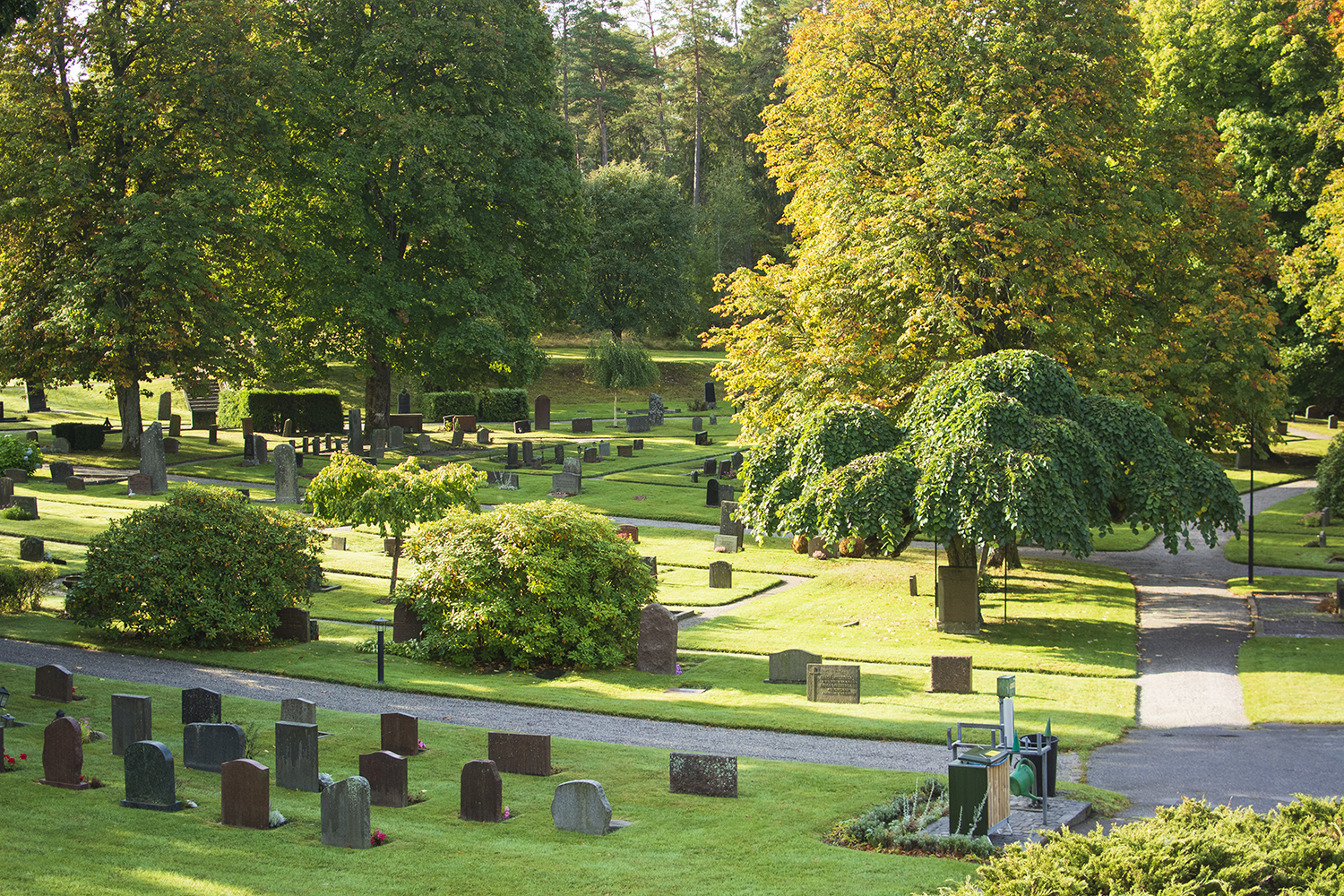 Gräsmattor med gravstenar och grusgångar mellan gravarna. Ett flertal stora träd och buskar syns också, bland annat en paraplyalm som är ett träd där trädkronan hänger som ett paraply över trädstammen. 