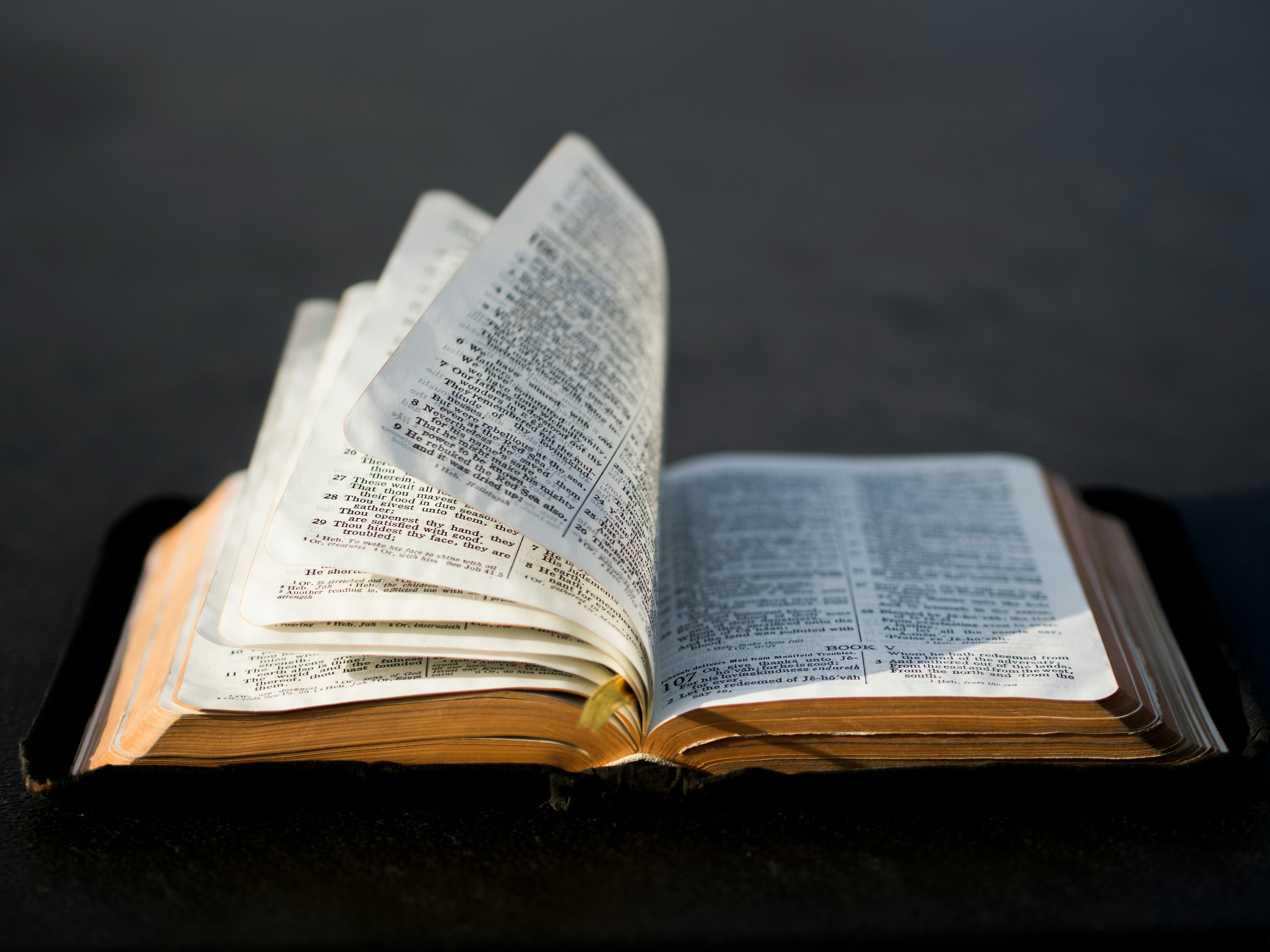 bibel