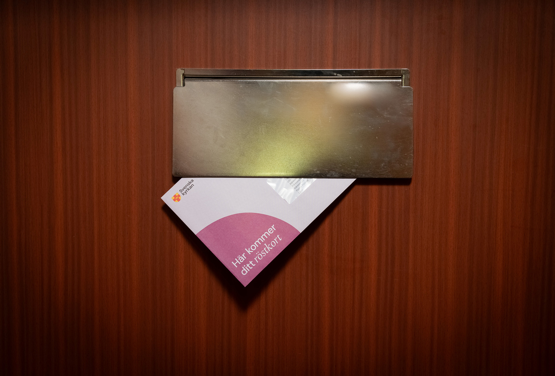 Ett brevinkast på en dörr, sett inifrån, där ett kuvert med ett röstkort till kyrkovalet sticker fram.