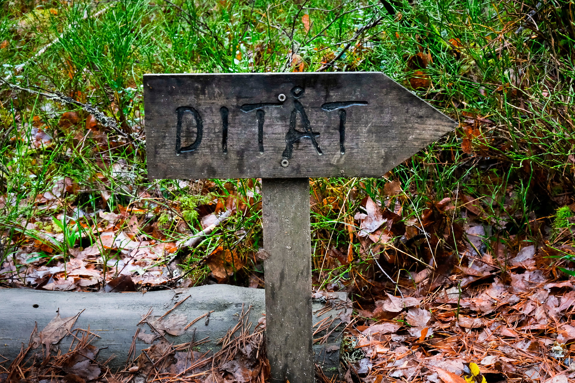 Bilden visar en träpil med texten Ditåt