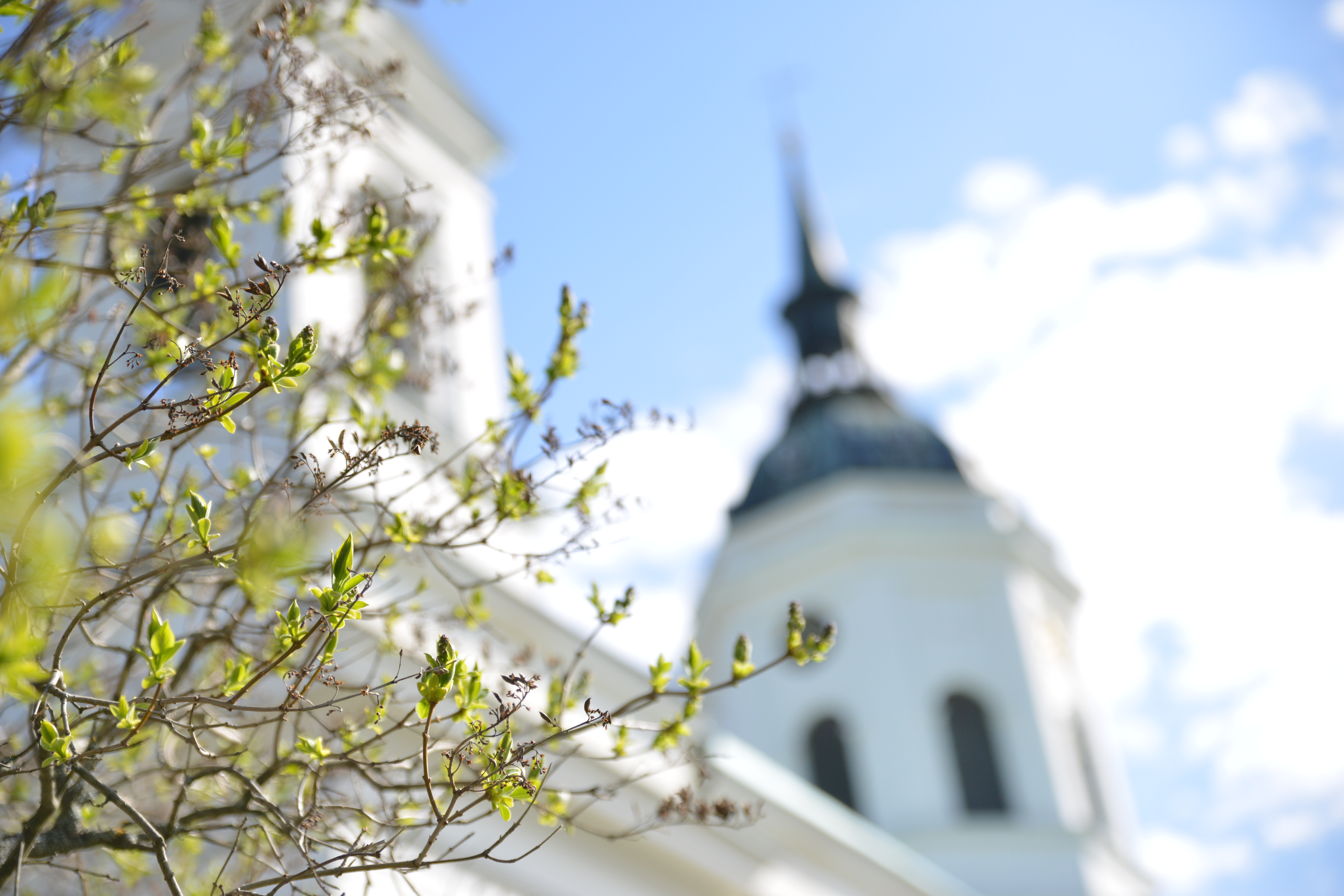 Bild av Härnösands domkyrka