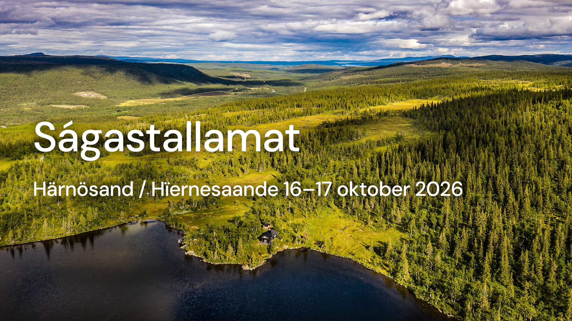 Ett skogslandskap.