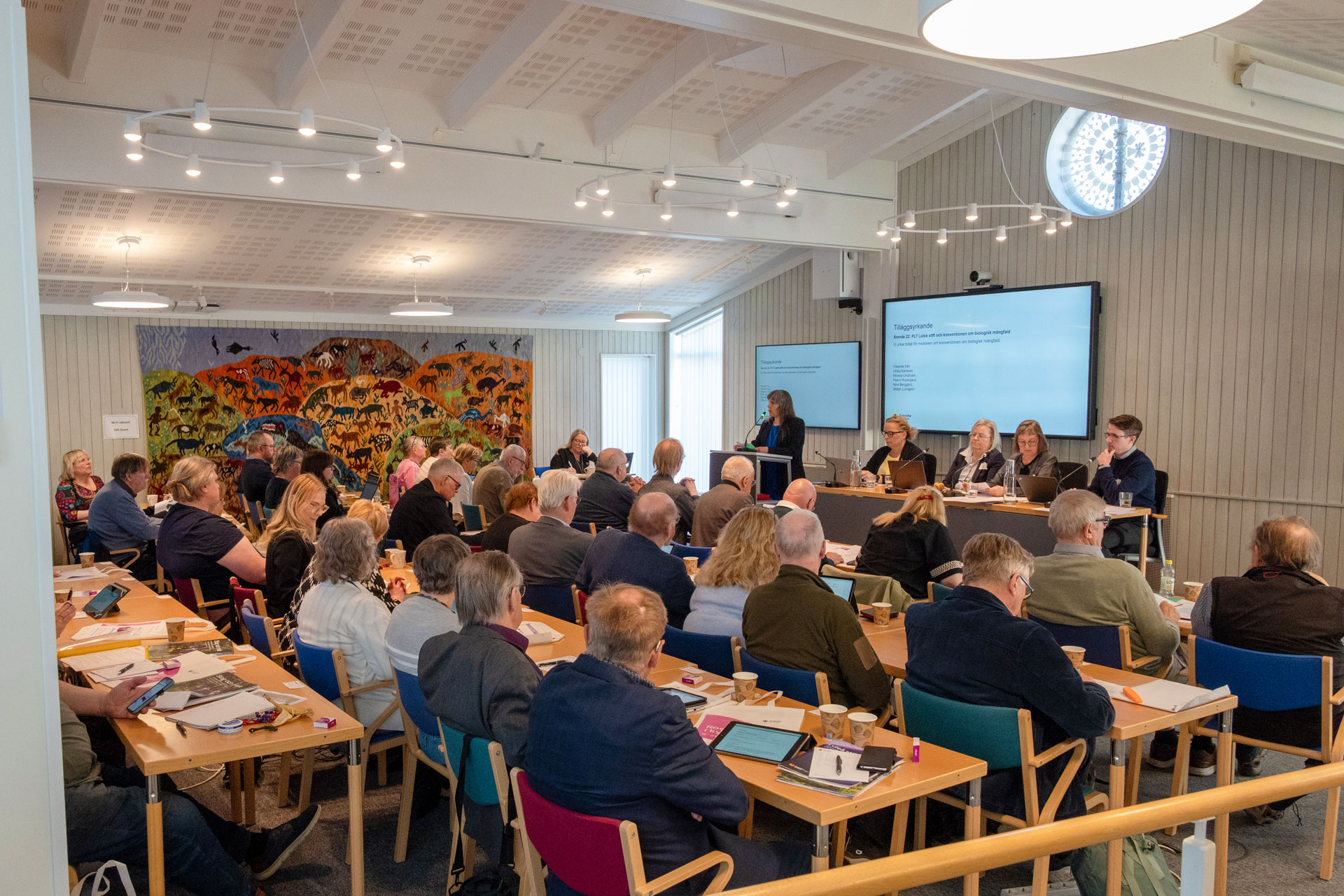 Ledamöterna lyssnar till en kvinna i talarstolen.