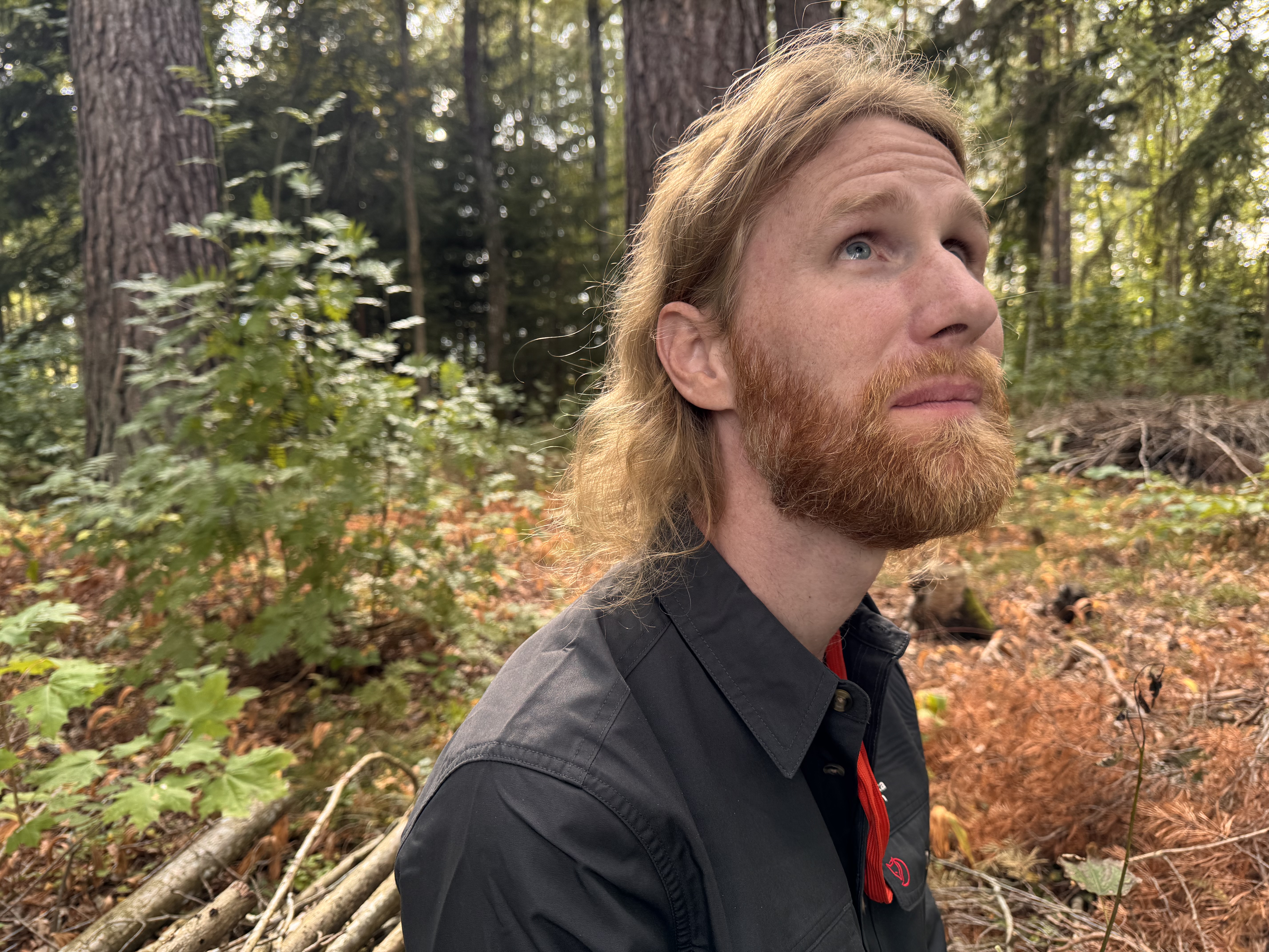 Naturvårdsspecialisten Tomas Björkesten, Linköpings stift, sitter i en skog och tittar snett uppåt mot himlen