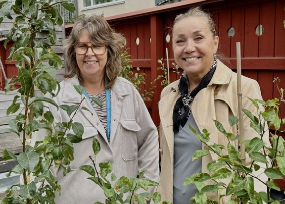 Liselott Johansson, stadsträdgårdsmästare Linköpings kommun, och Maarit Psajd, fastighets- förvaltare Linköpings stift med två päronträd.