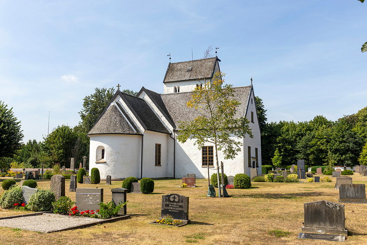 Torka på kyrkogård med gul gräsmatta och törstigt träd