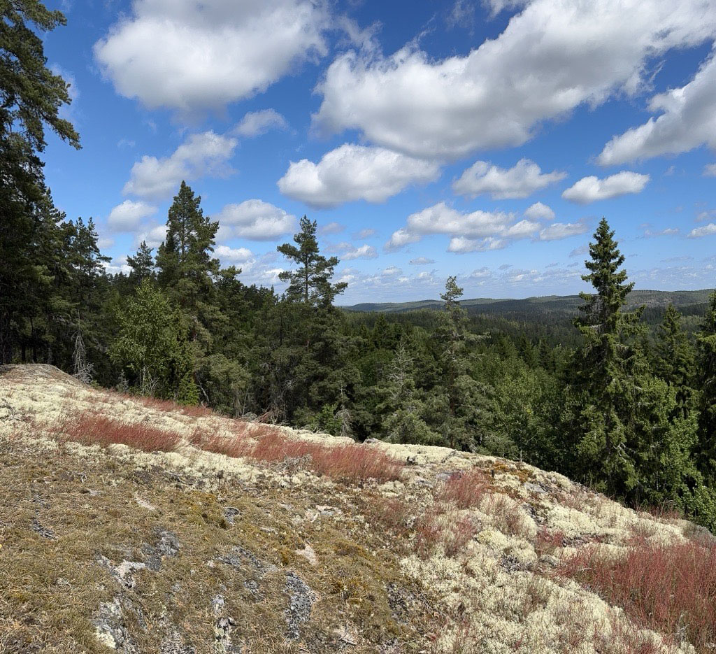 Himlaberget i Asby