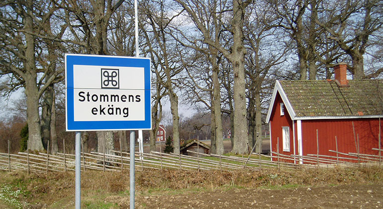 Äng med lövträd i bakgrunden