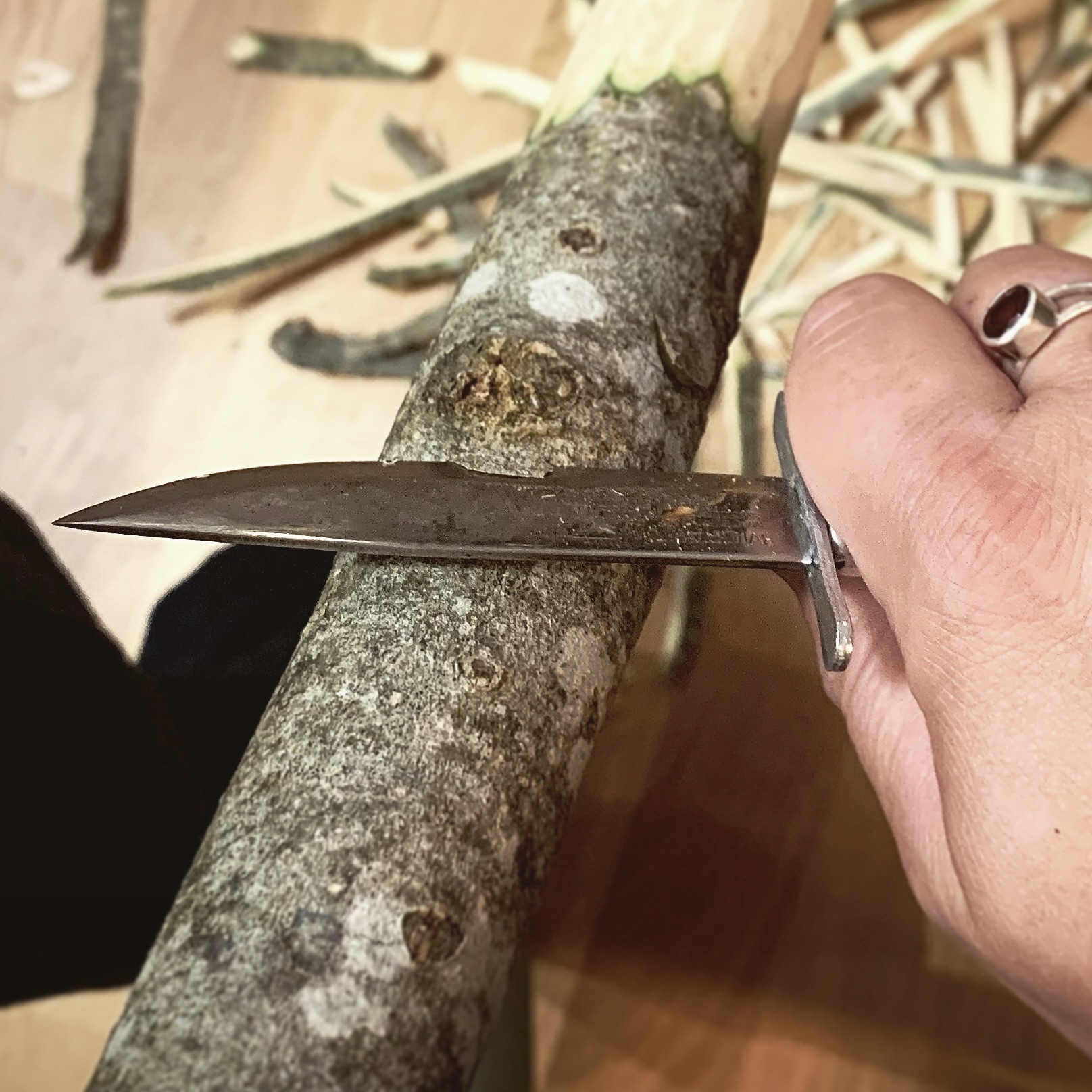 Hand som täljer en gren med en kniv.