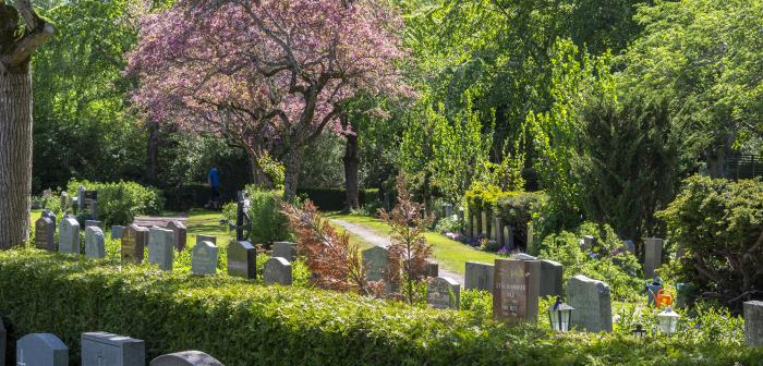 Är du genuint intresserad av ledarskap? Är du strategisk, van vid budgetansvar och kan utveckla verksamheter så att resultat nås? Nu söker vi dig som vill bli Danderyds församlings nya kyrkogårdschef.