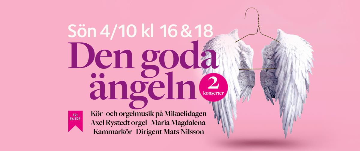 Kör- och orgelmusik på Mikaelidagen | Dubbla konserter | Fri entré