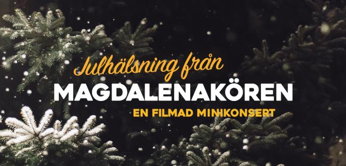 Minikonsert inför jul