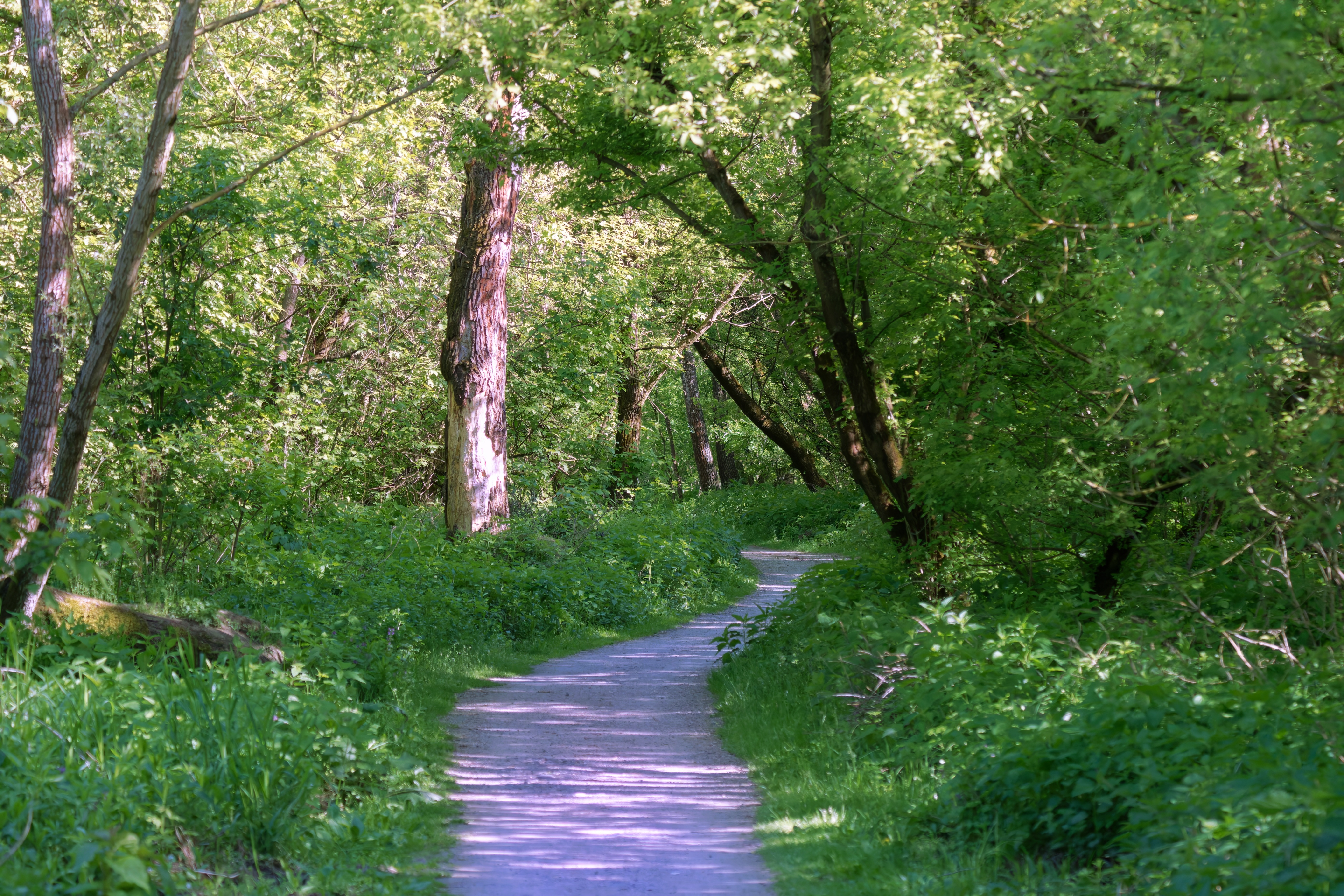 Bild: surprising_media/Pixabay