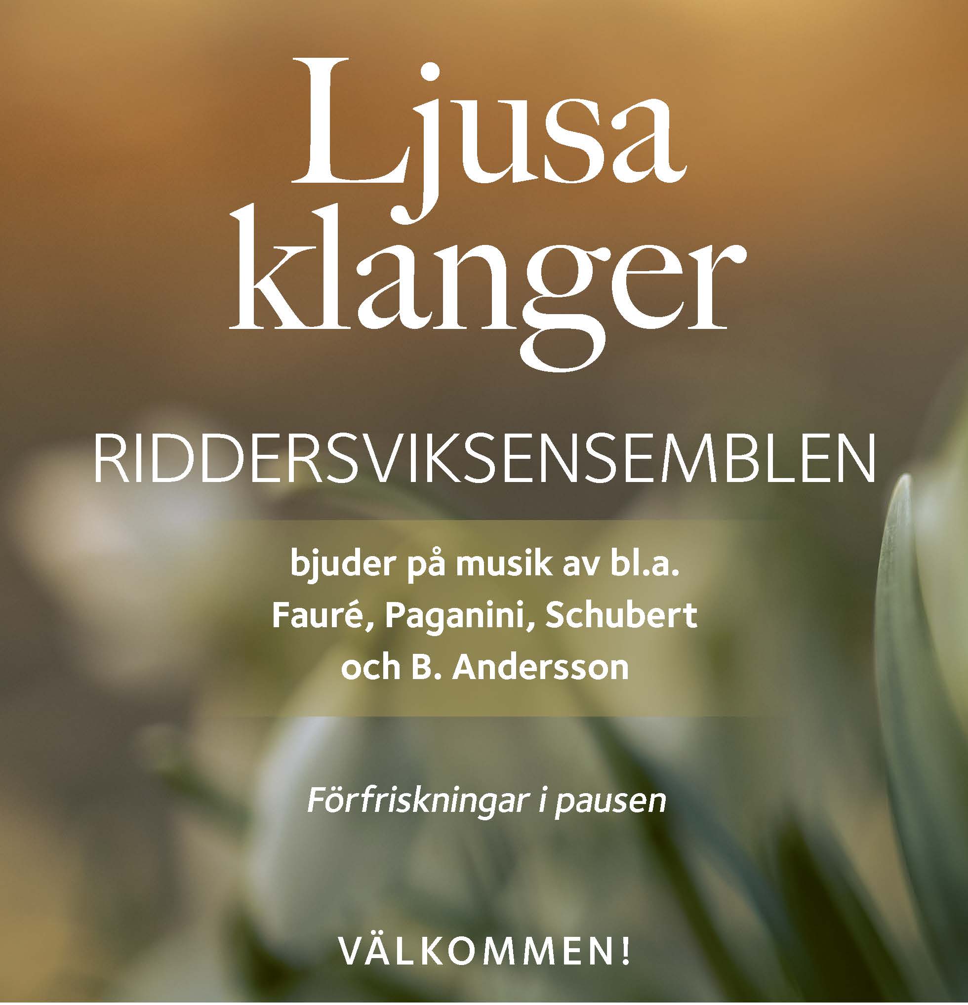 Riddersviksensemblen bjuder på "Ljusa klanger".