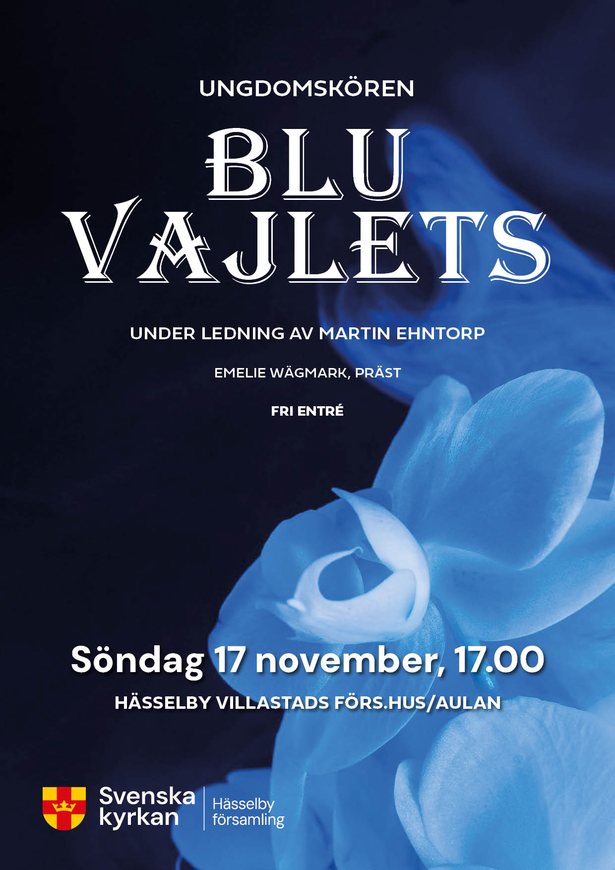 Ungdomskören Blu Vajlets