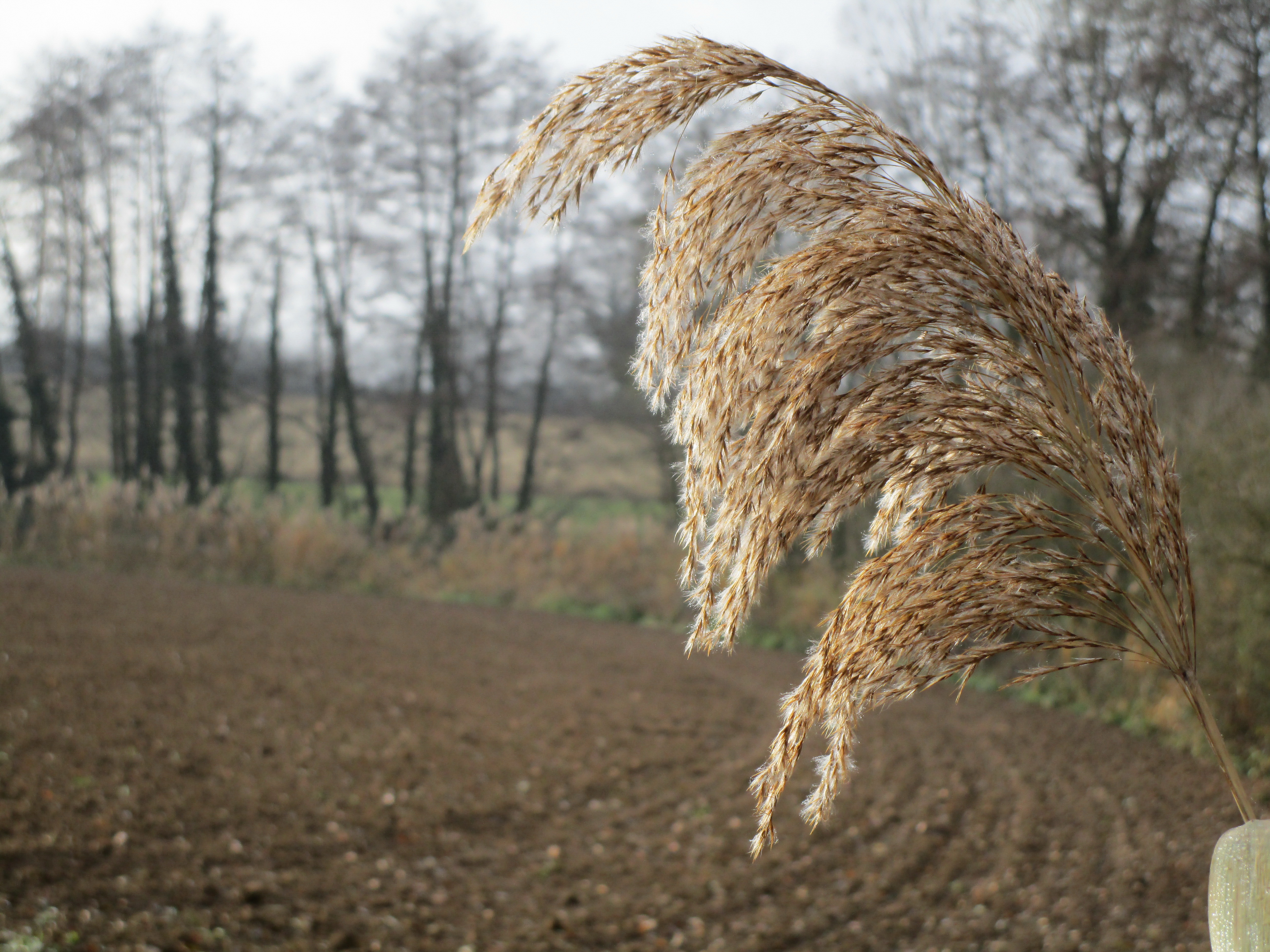Krisstöd och öppen kyrka