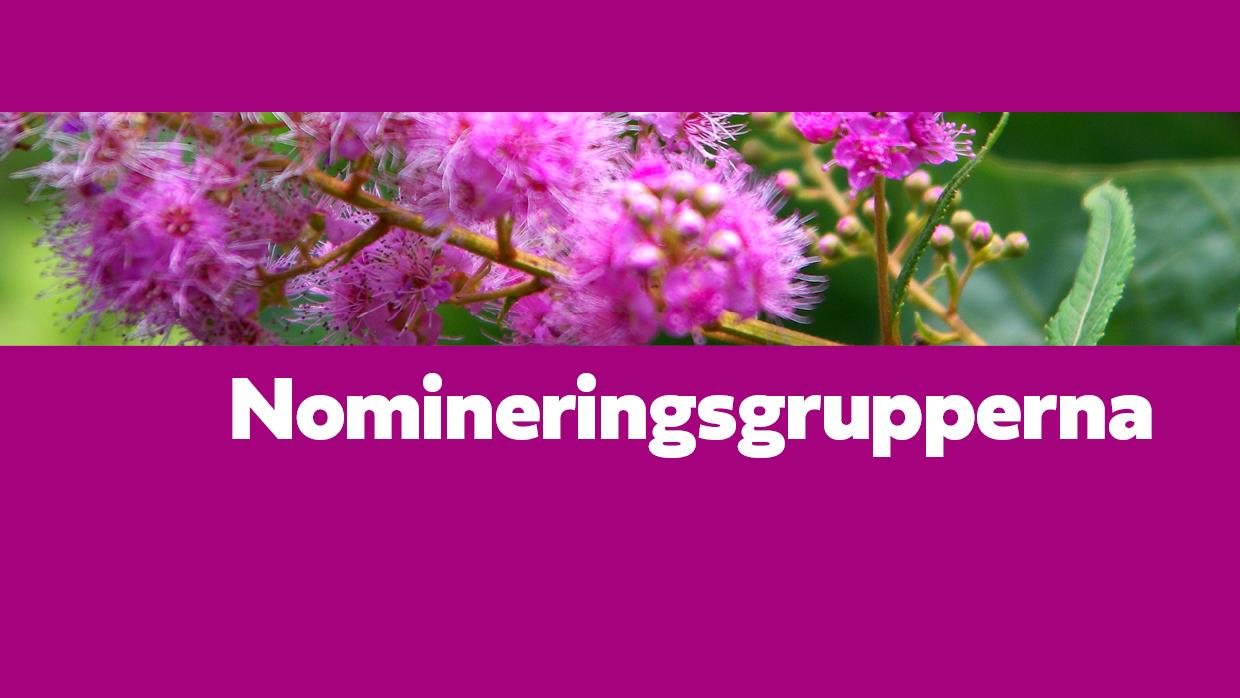 Nomineringsgrupper