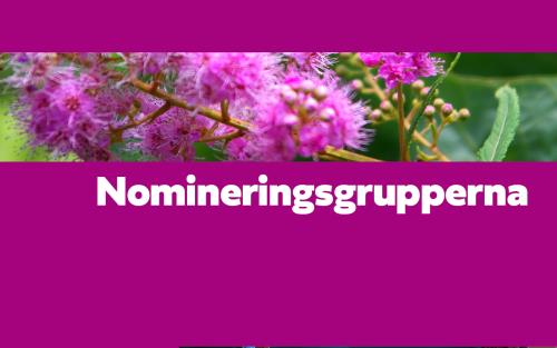 Nomineringsgrupper