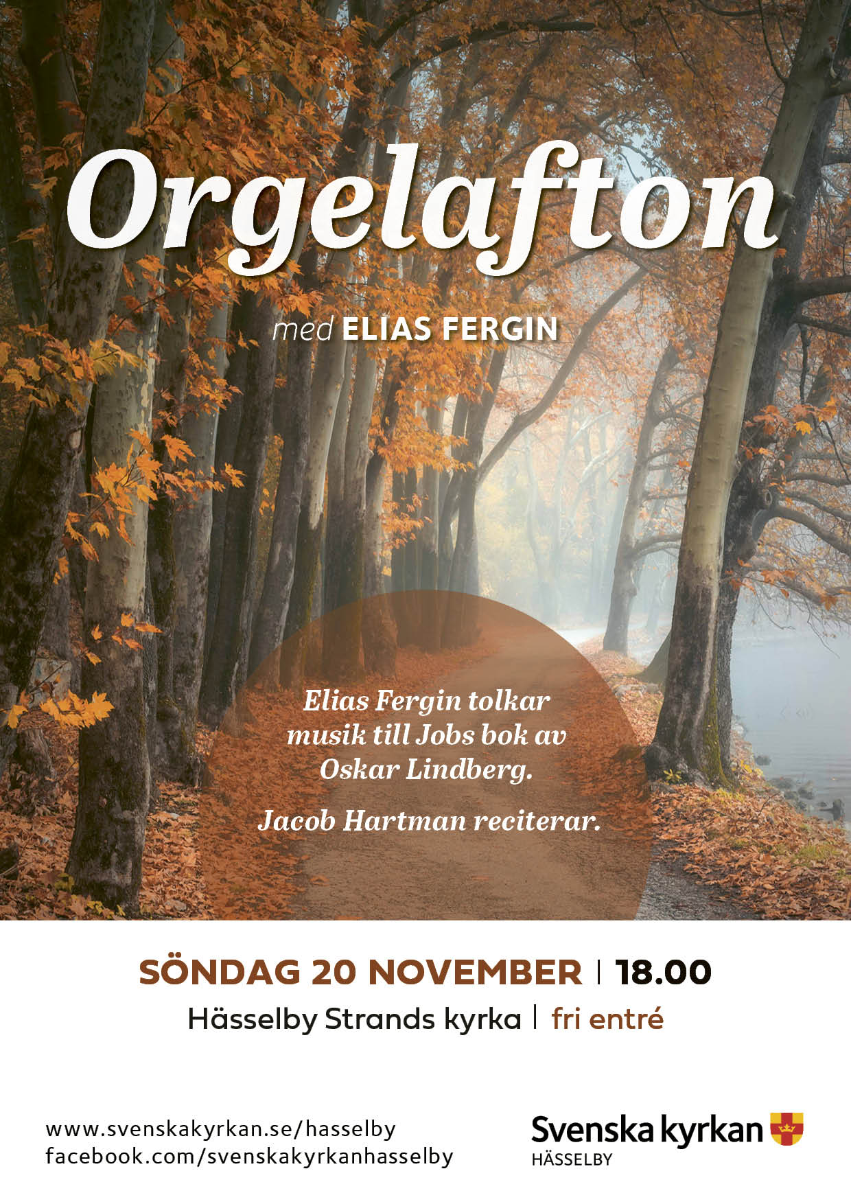 Orgelafton med Elias Fergin.