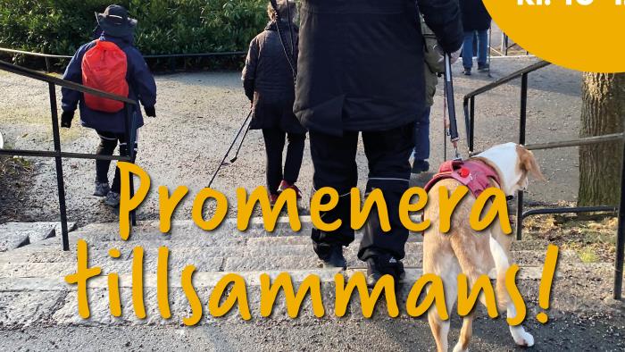 Promenera tillsammans