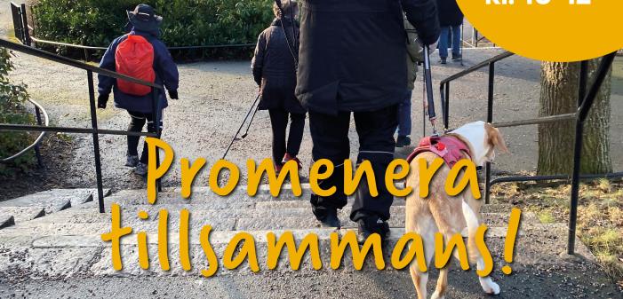 Promenera tillsammans