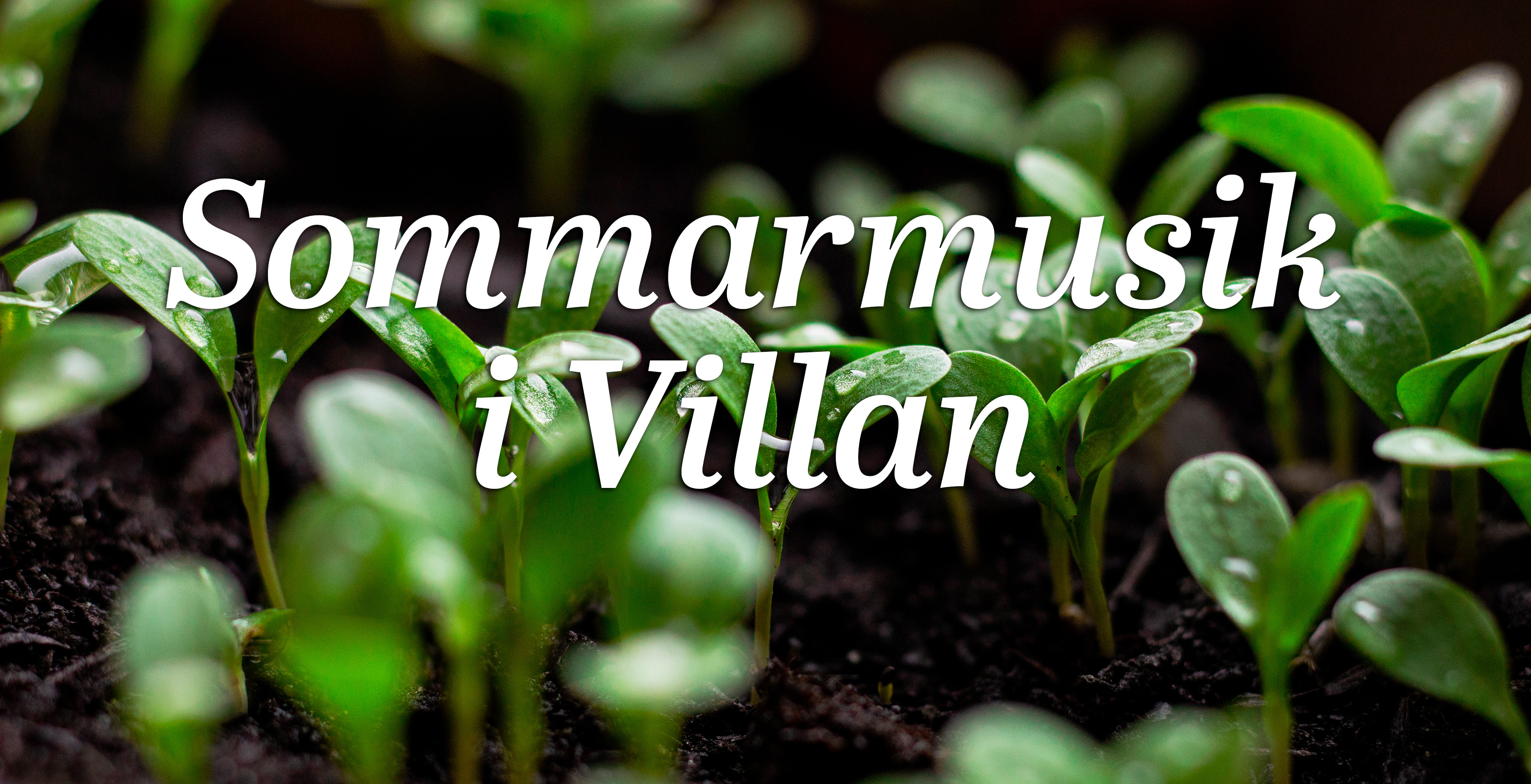 Sommarmusik i Villan