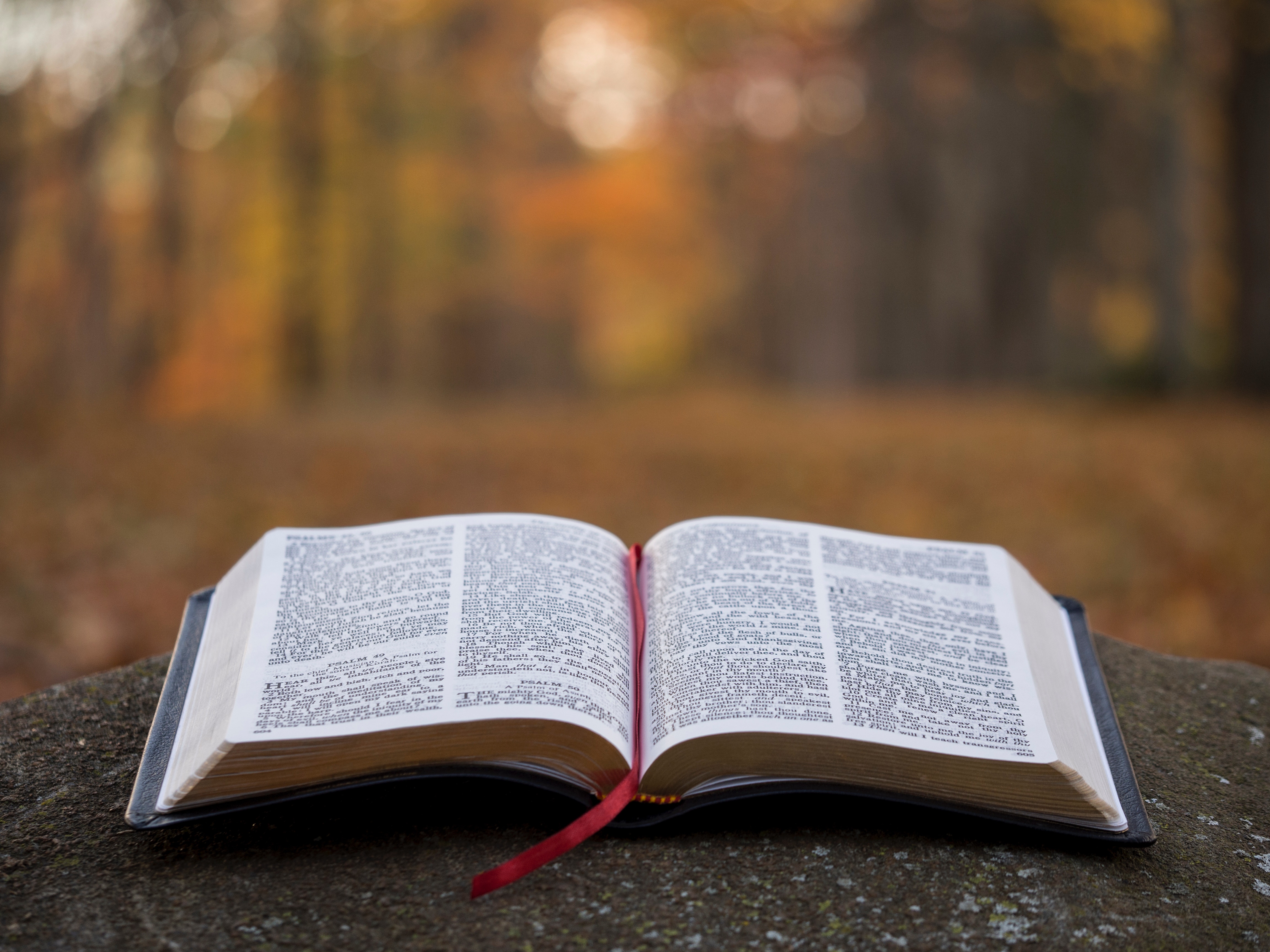 Uppslagen bibel i naturen