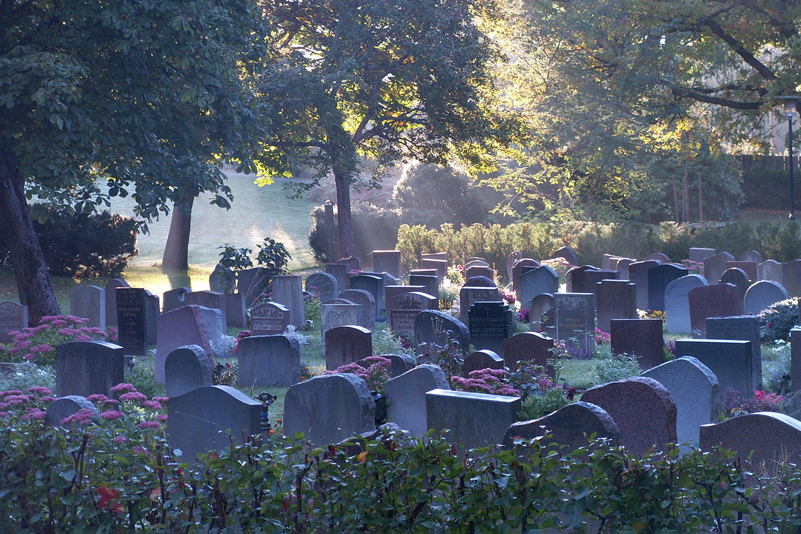 Bild av begravningsplatsen Sundbyberg