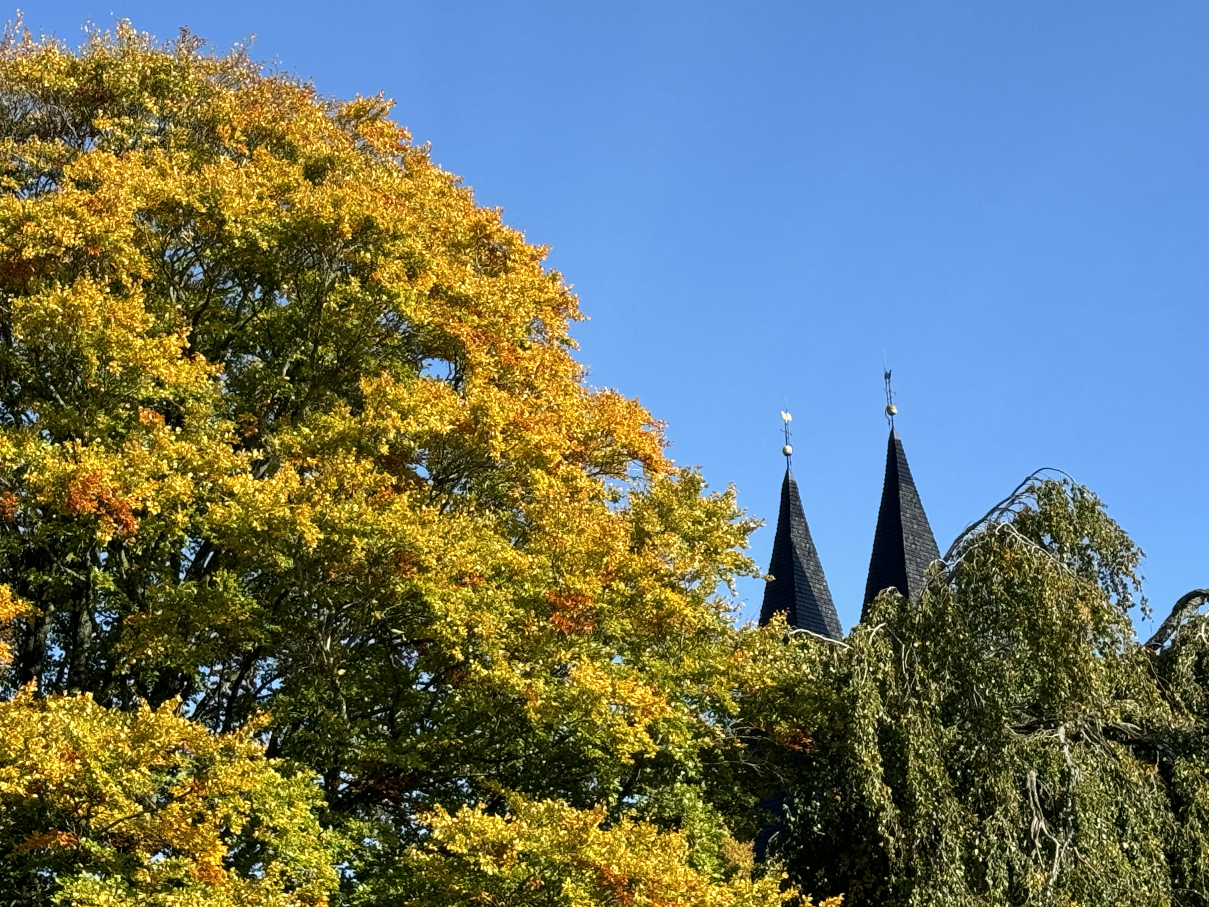 kyrktorn höst