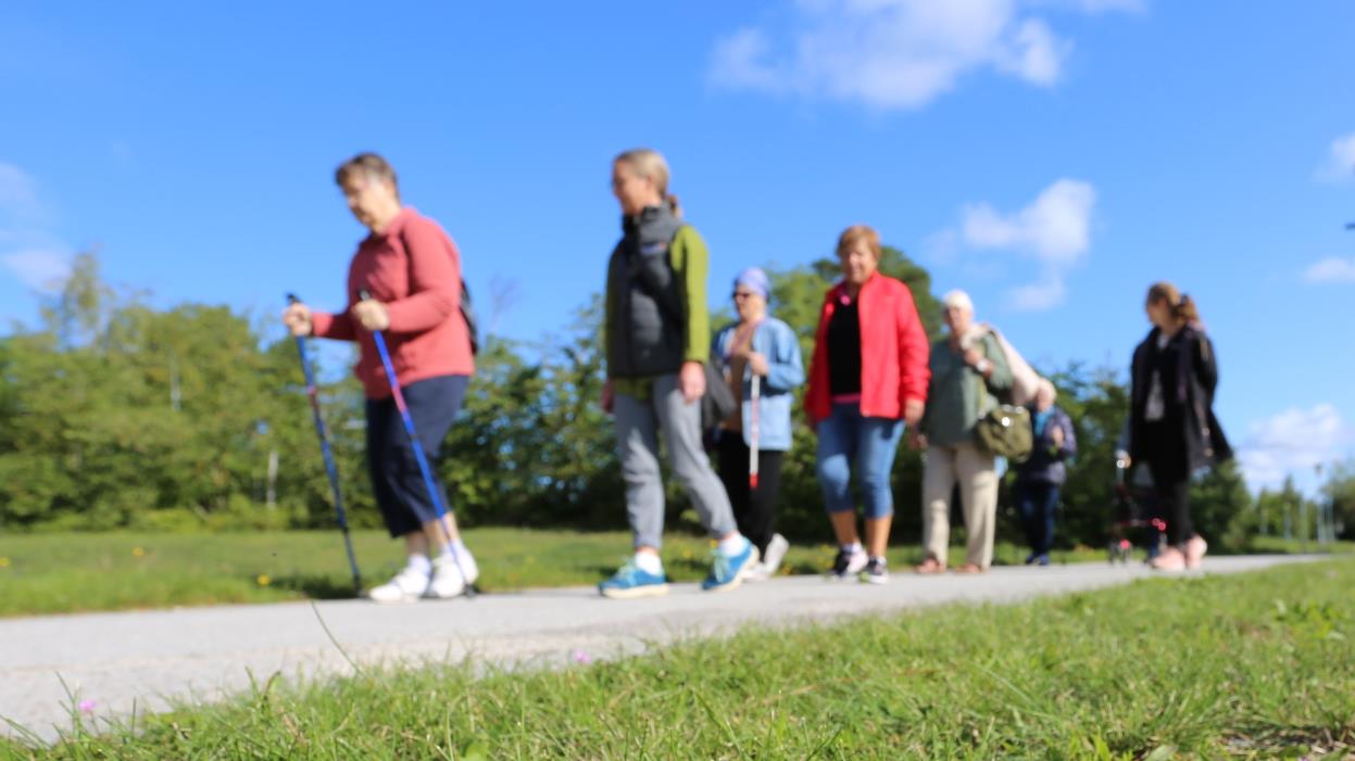 Måbra-promenad i Terra Nova