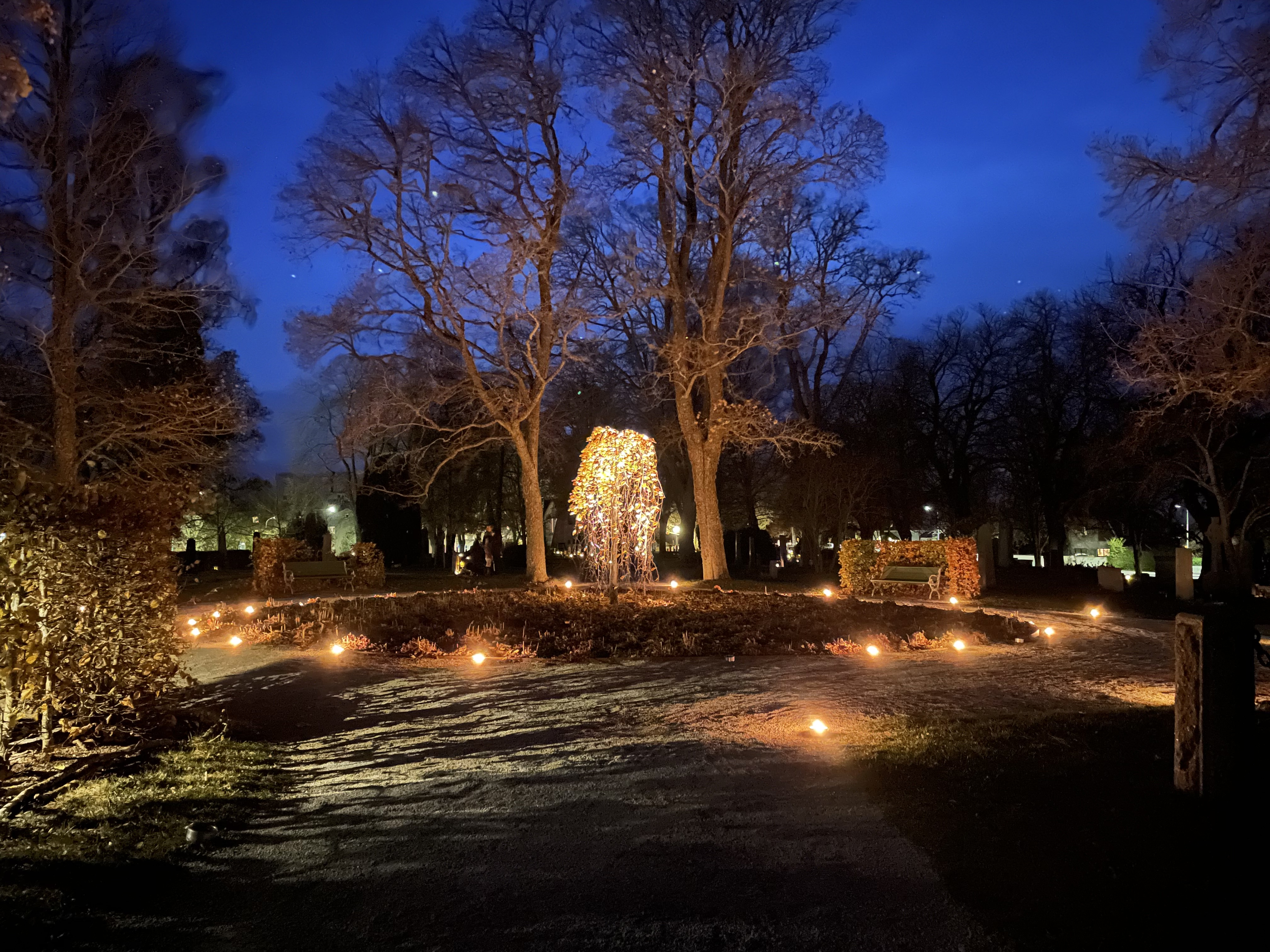 Ljusträd mitt på Östra kyrkogården med marschaller tända längs grusgångarna.