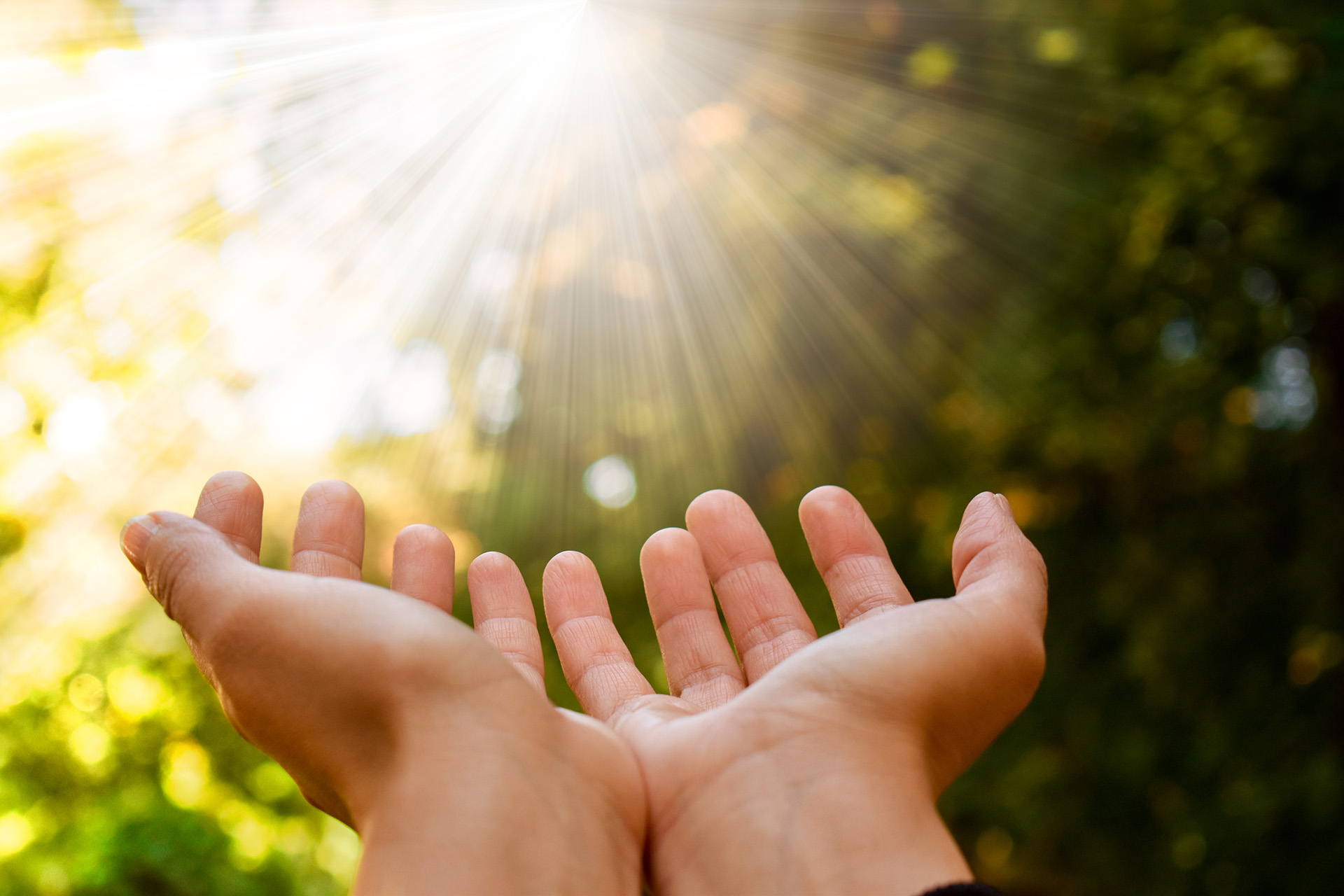 Två händer som lyfts mot solstrålar och träd